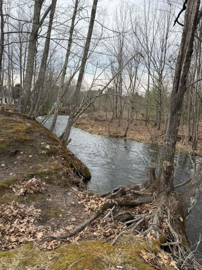 Single Family Falmouth Sullivan County, NY 12959, MLS-985858-4