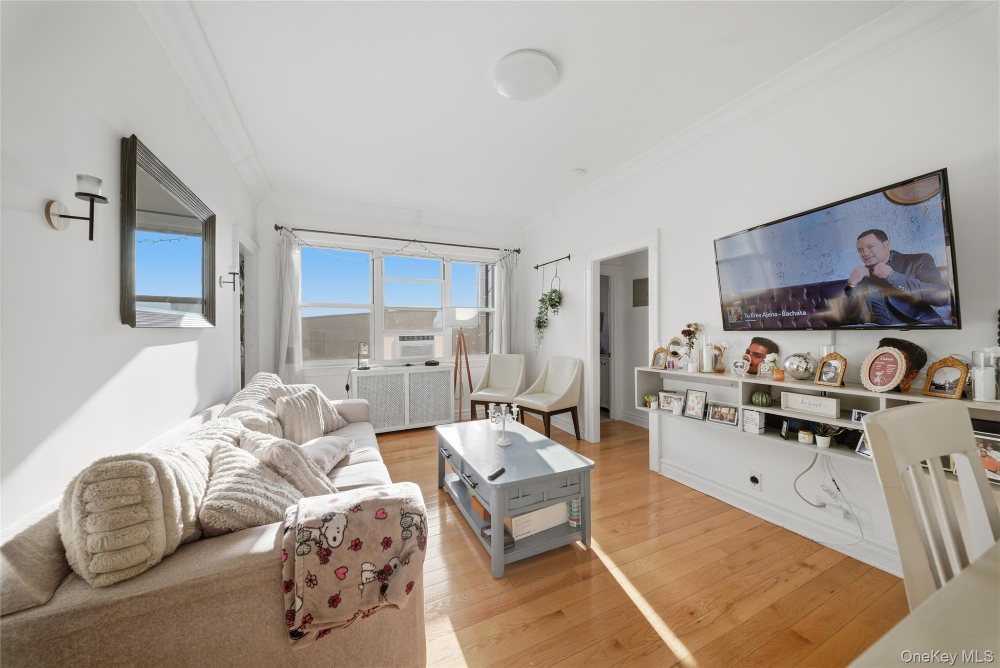 Single Family 14th Avenue Queens, NY 11357, MLS-986025-7