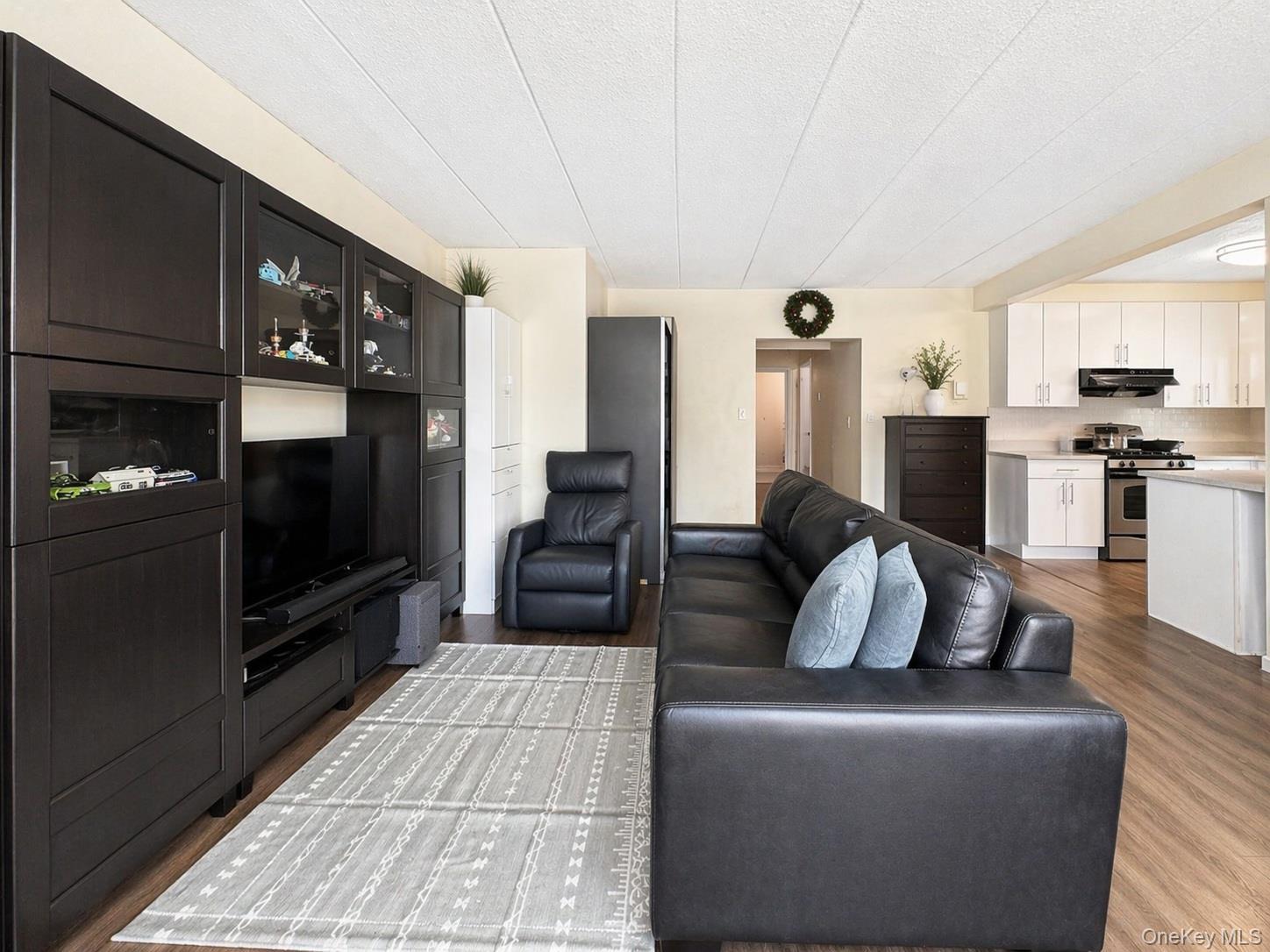 Condo Roosevelt  Queens, NY 11354, MLS-986033-3