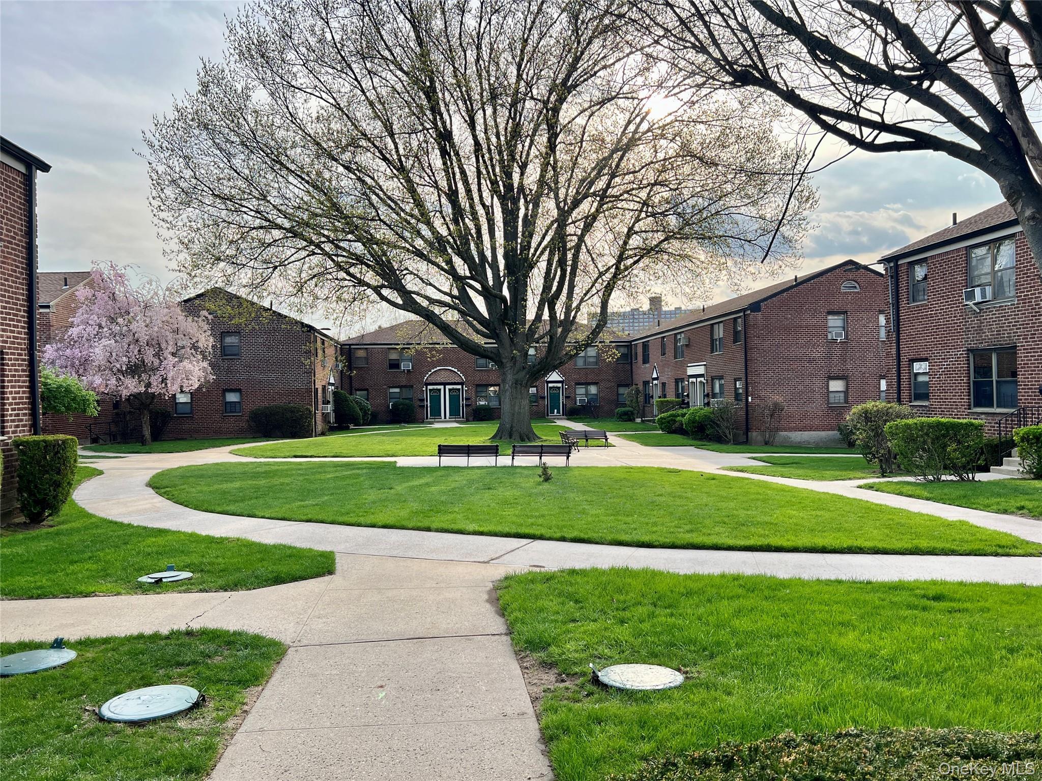 Coop 69th  Queens, NY 11365, MLS-986068-12