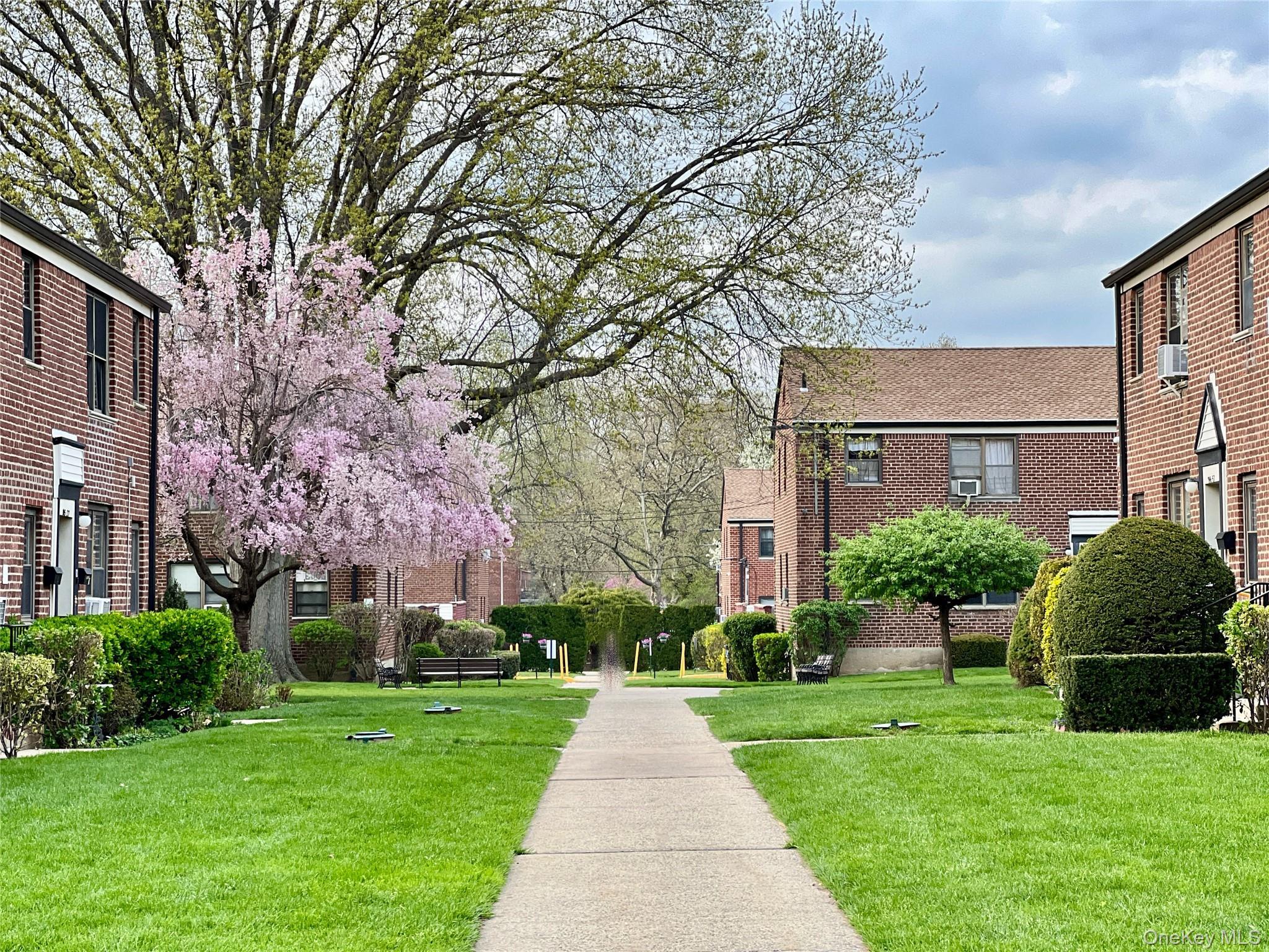 Coop 69th  Queens, NY 11365, MLS-986068-14