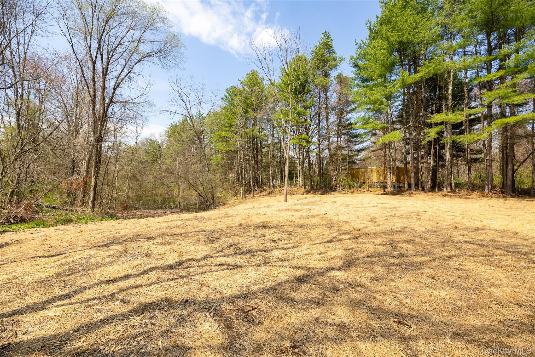 Single Family Eckelman  Dutchess County, NY 12538, MLS-986077-20