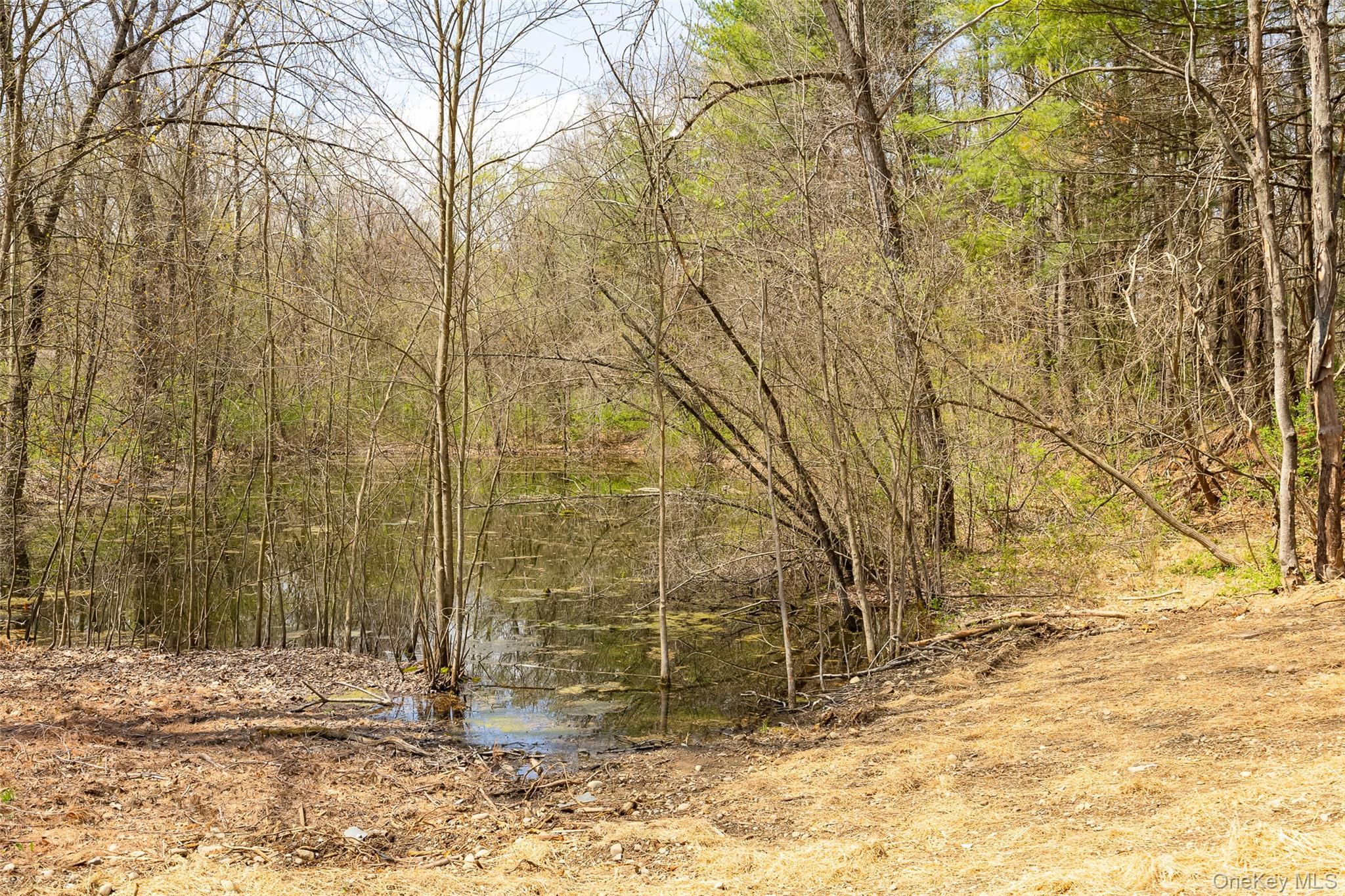 Single Family Eckelman  Dutchess County, NY 12538, MLS-986077-21