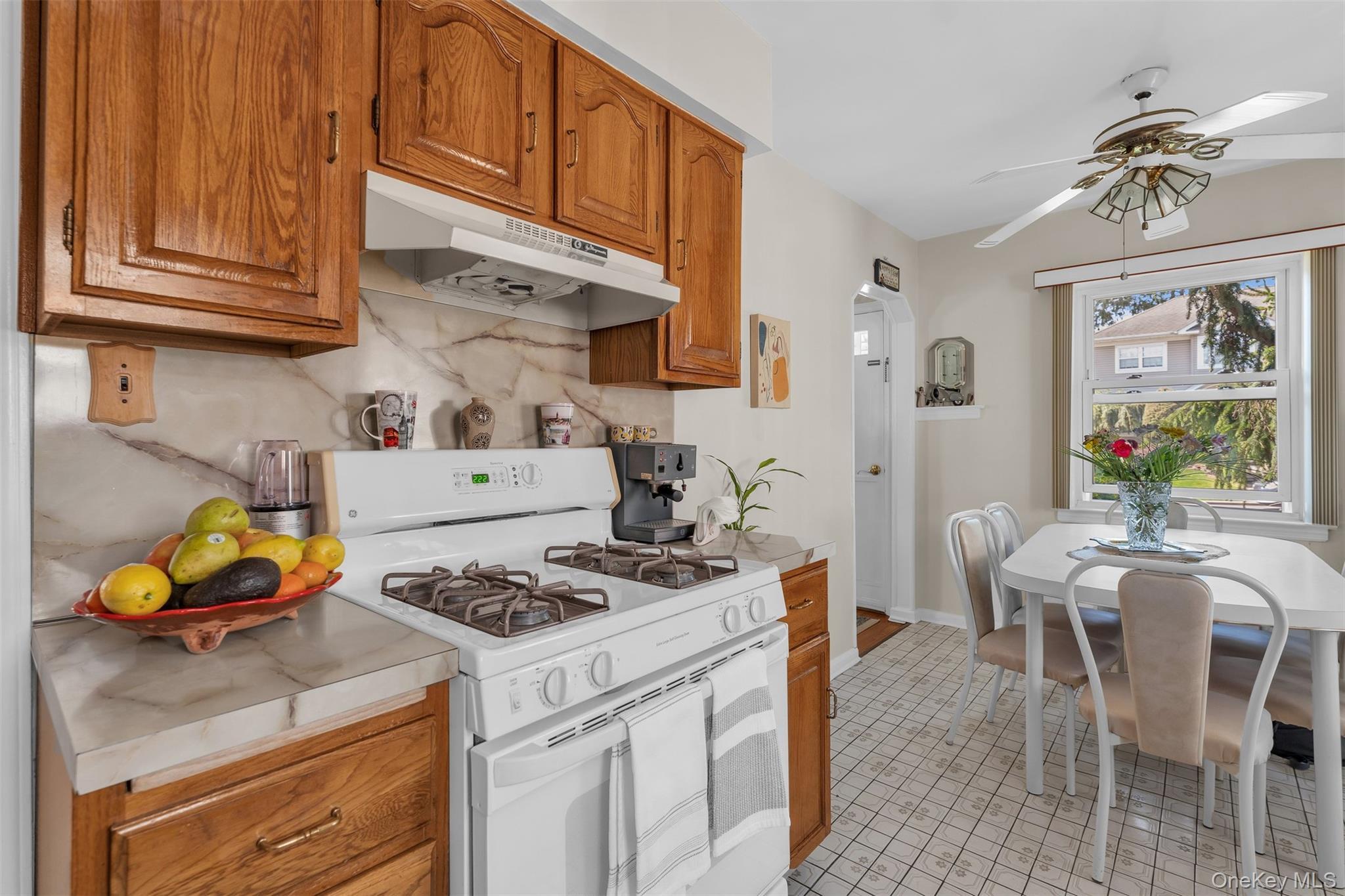 Single Family Harding  Nassau County, NY 11552, MLS-986123-10