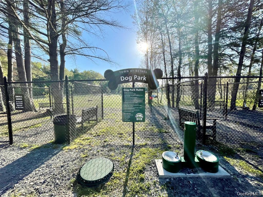 Single Family Pine Grove Road  Sullivan County, NY 12778, MLS-986192-34