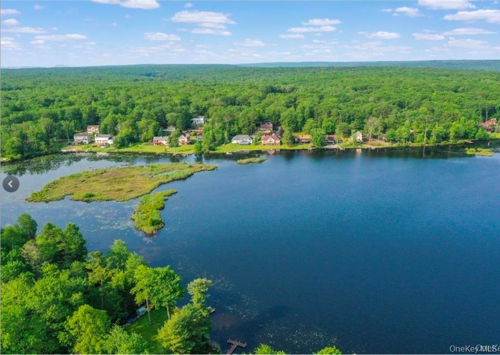 Single Family Lake Shore Drive W Sullivan County, NY 12775, MLS-986218-4