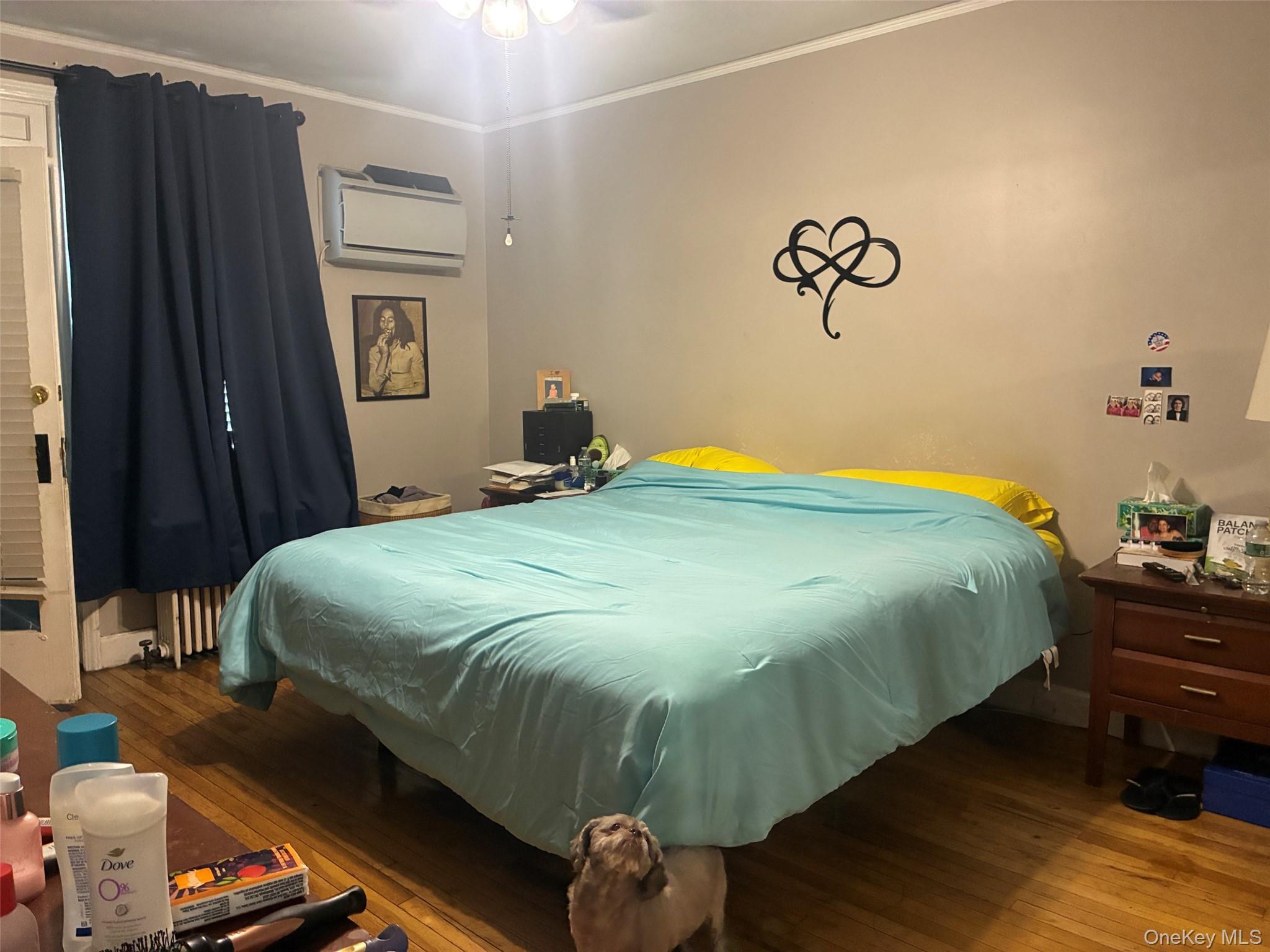 Single Family Tomlinson Bronx, NY 10461, MLS-986233-7