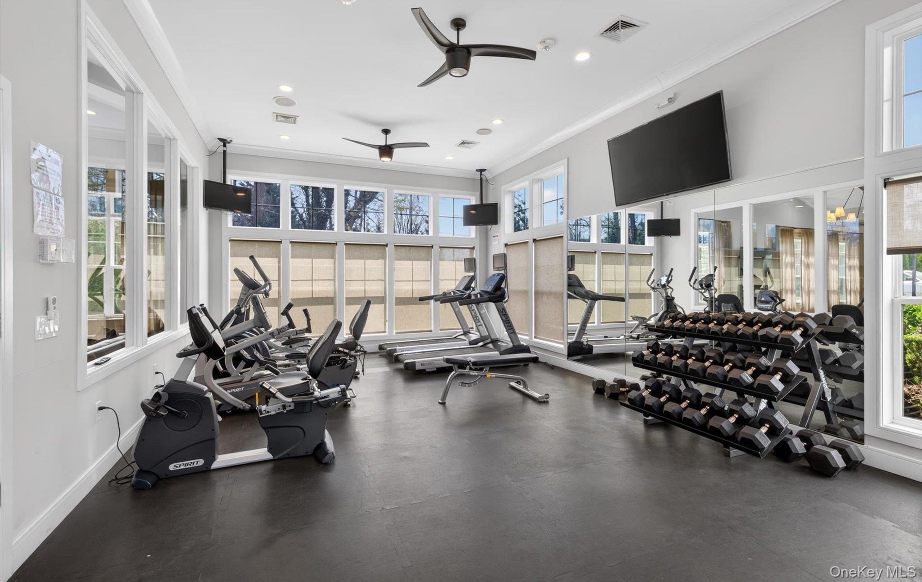 Condo Bellflower  Suffolk County, NY 11787, MLS-986377-46