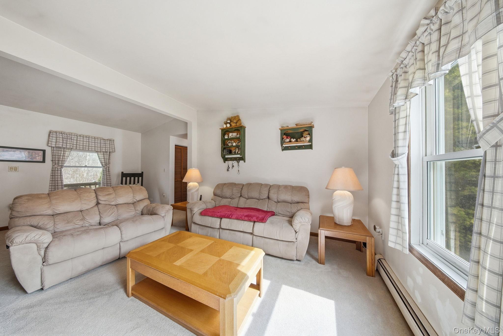 Single Family Mountain  Orange County, NY 12771, MLS-986378-6