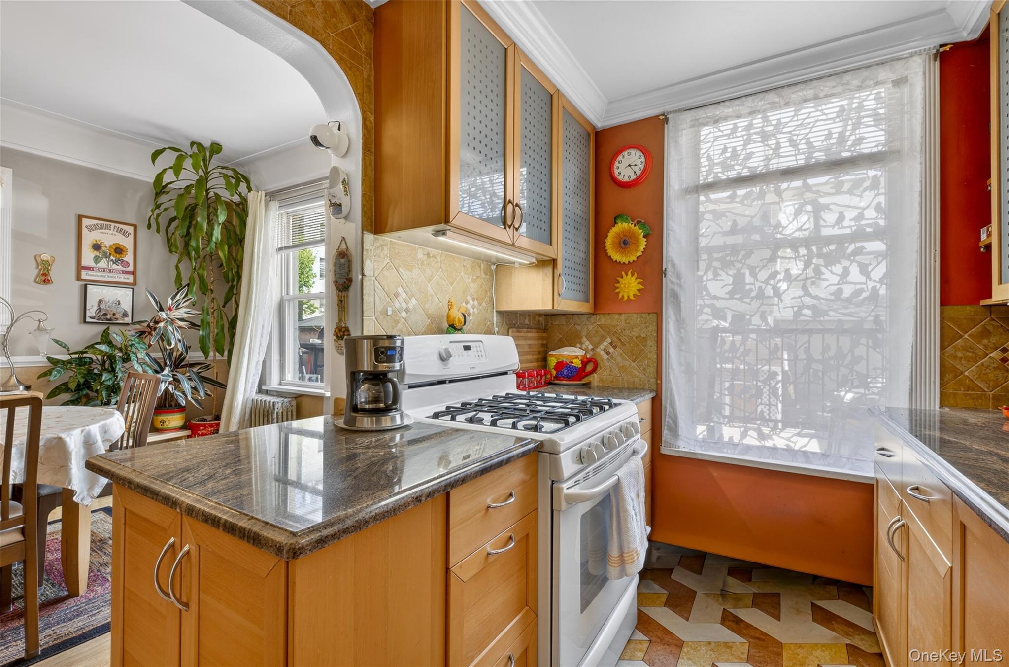 Single Family 63rd Queens, NY 11379, MLS-986387-12