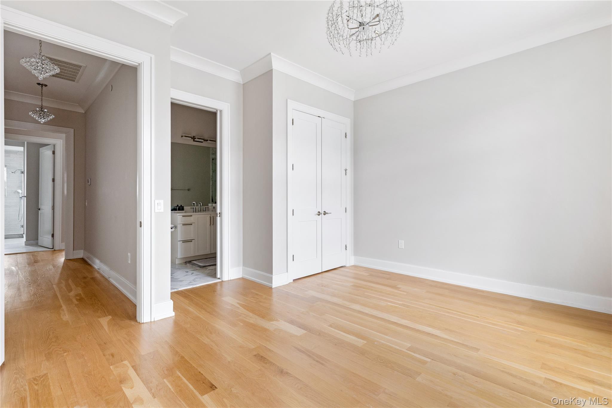 Condo Mill  Nassau County, NY 11576, MLS-986474-16