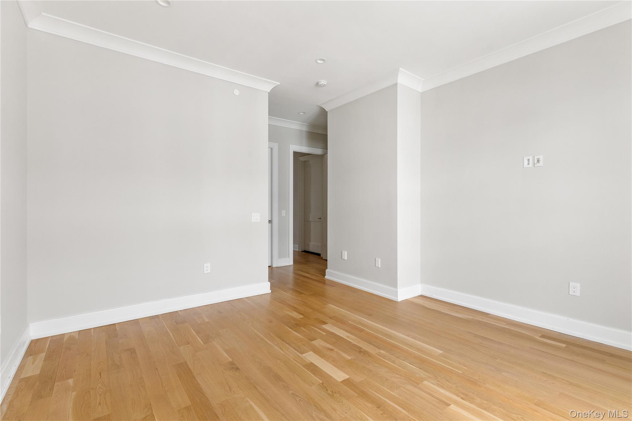 Condo Mill  Nassau County, NY 11576, MLS-986474-21