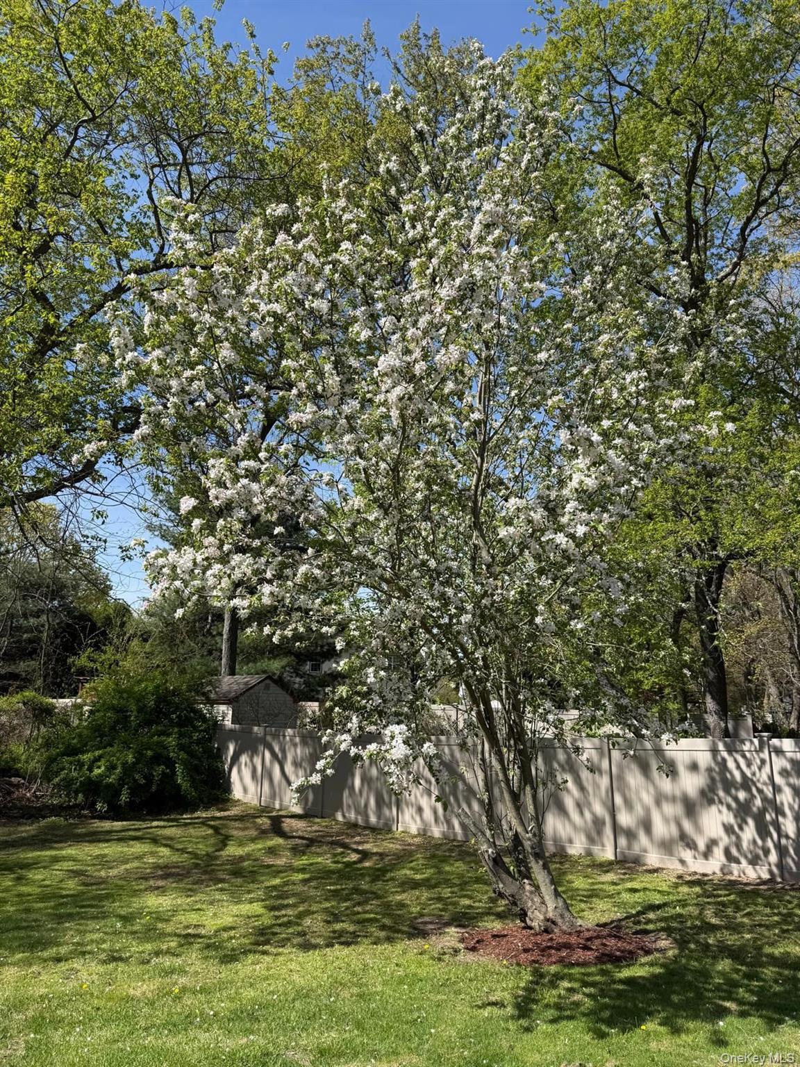 Single Family Storyland  Suffolk County, NY 11733, MLS-986598-34