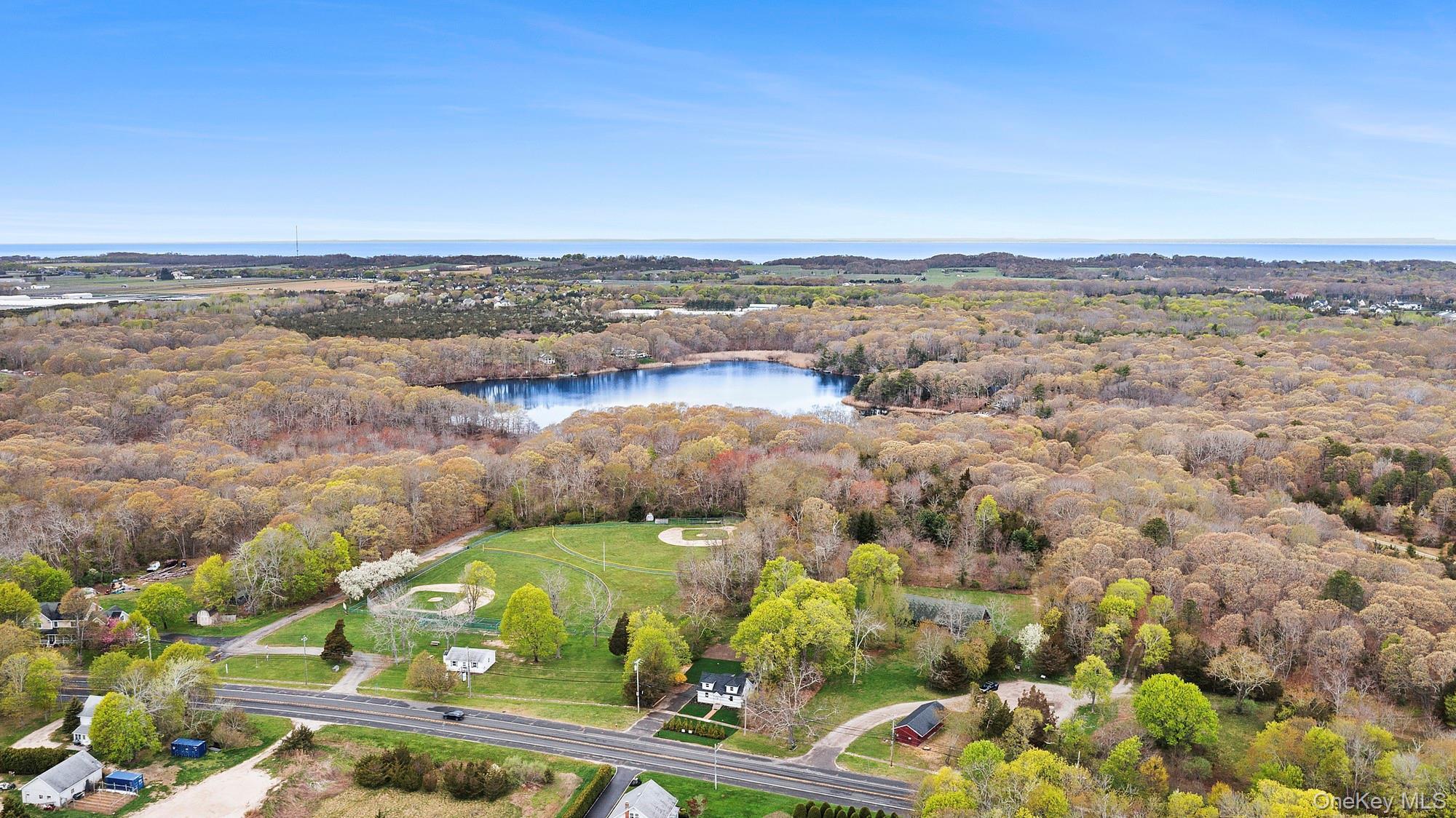 Single Family Main  Suffolk County, NY 11948, MLS-986729-19