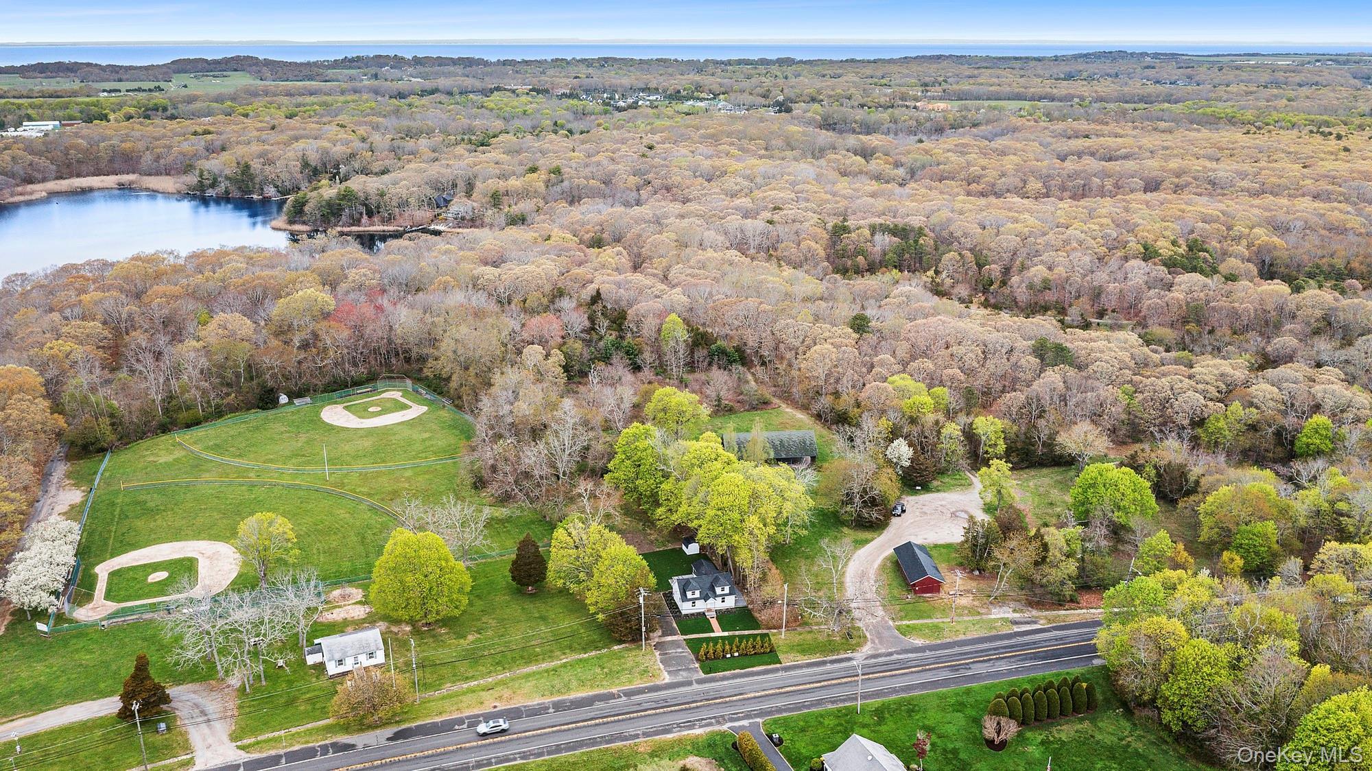 Single Family Main  Suffolk County, NY 11948, MLS-986729-20