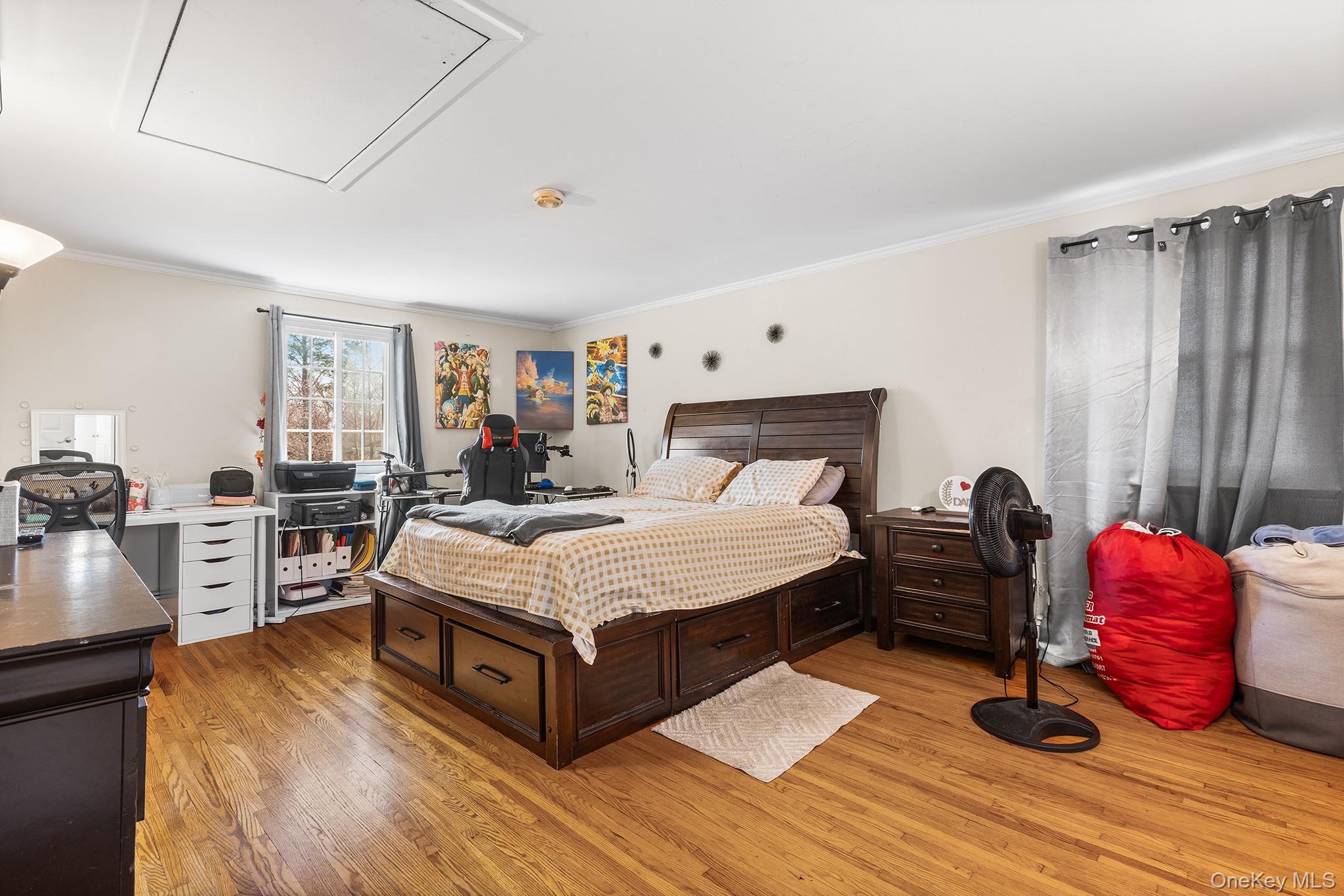 Single Family Carol  Westchester County, NY 10520, MLS-986765-10