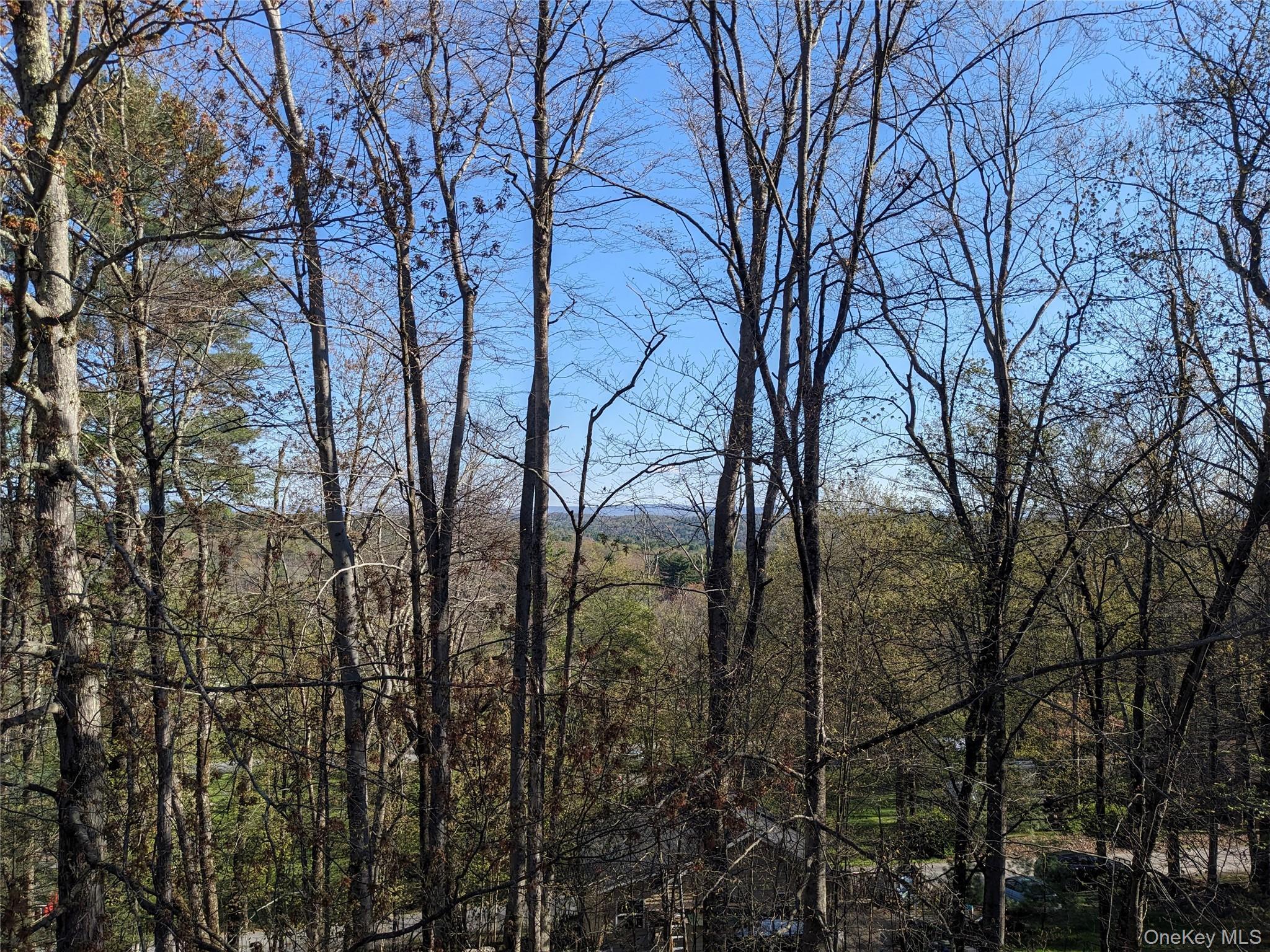 Single Family Tusten Sullivan County, NY 12778, MLS-986835-13