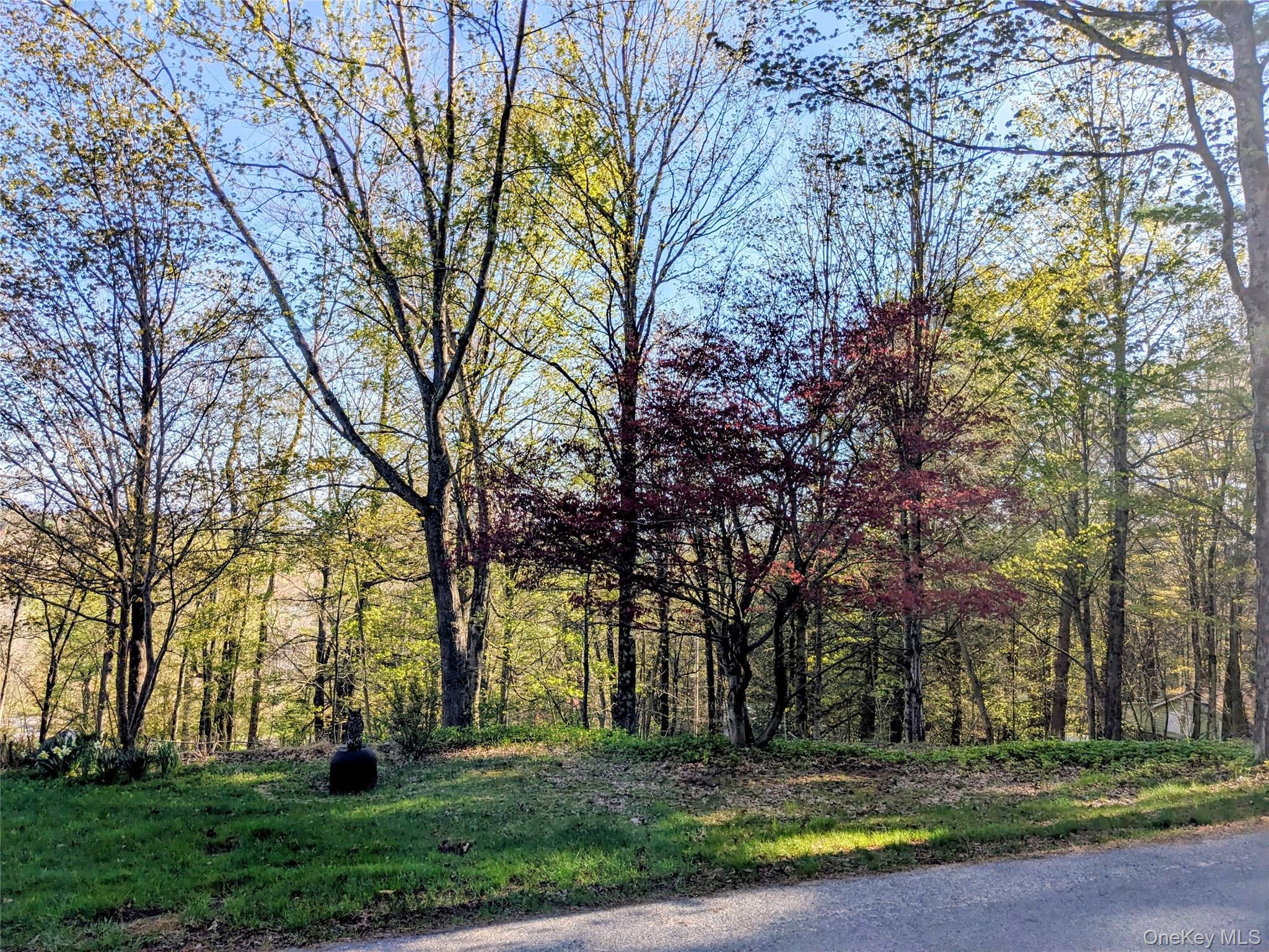 Single Family Tusten Sullivan County, NY 12778, MLS-986835-18