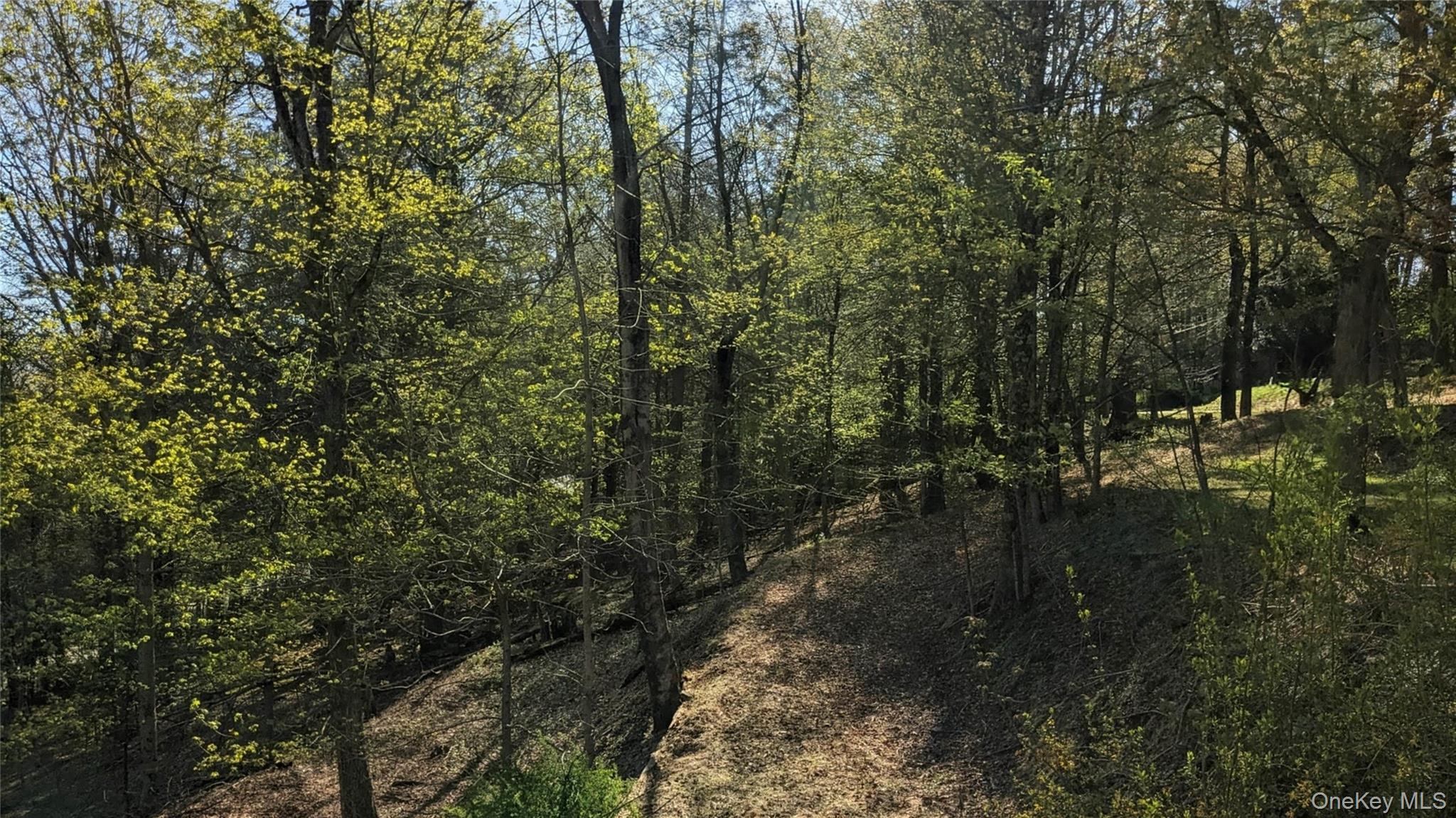 Single Family Tusten Sullivan County, NY 12778, MLS-986835-30