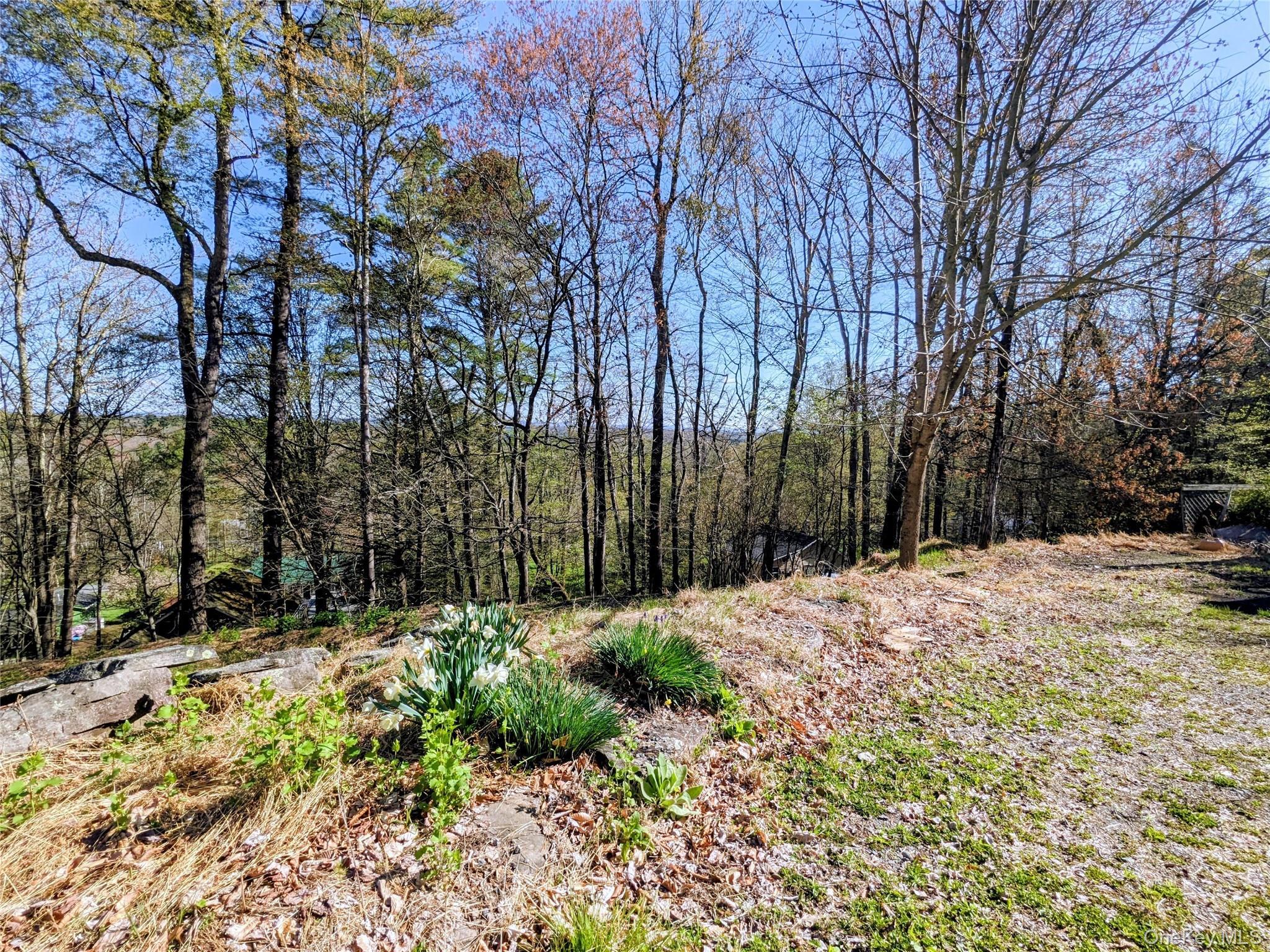 Single Family Tusten Sullivan County, NY 12778, MLS-986835-34