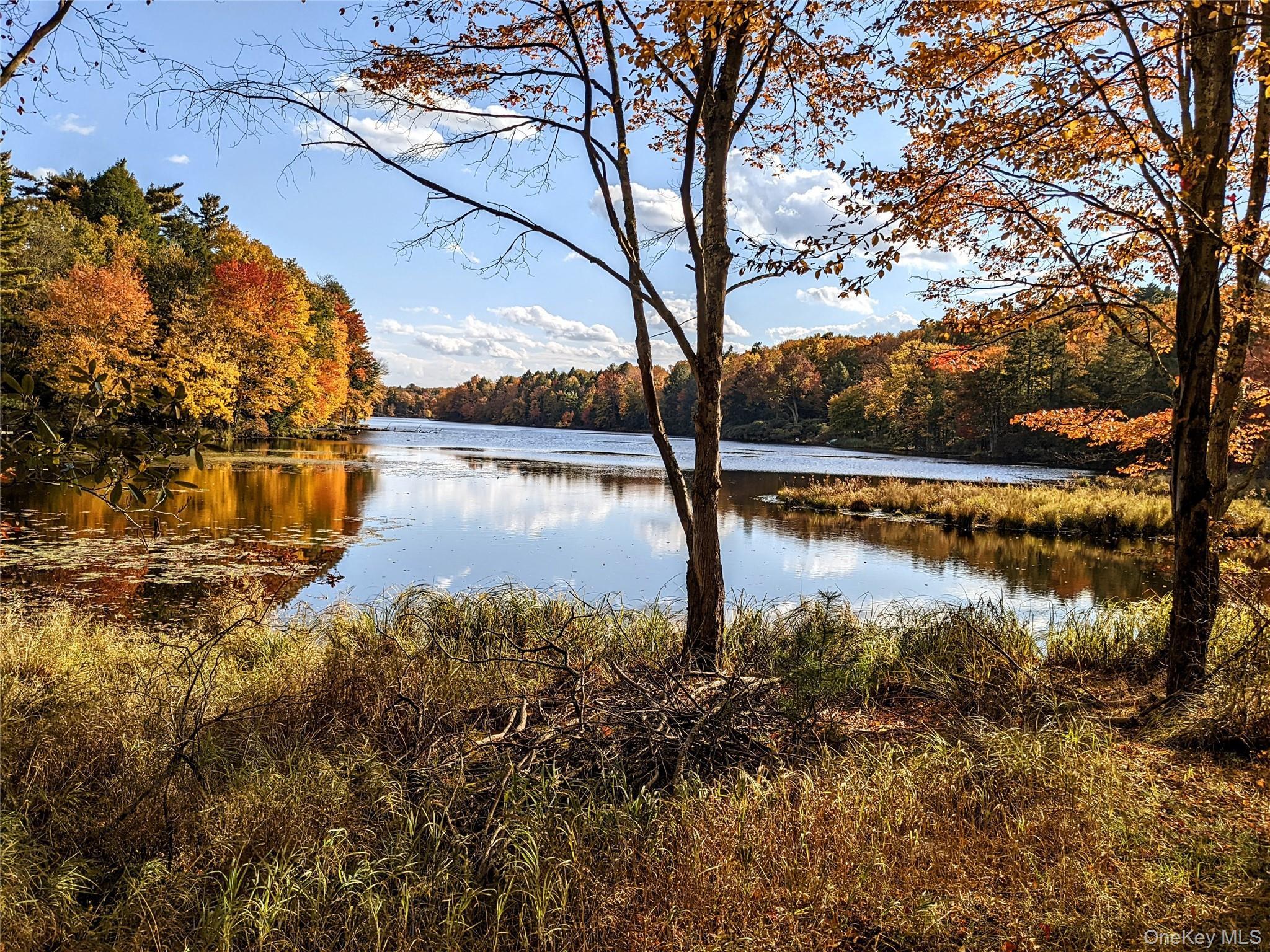 Single Family Tusten Sullivan County, NY 12778, MLS-986835-5