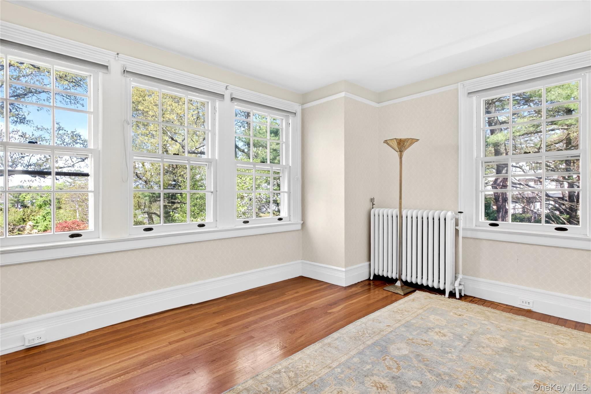Single Family West Drive  Nassau County, NY 11030, MLS-986838-32