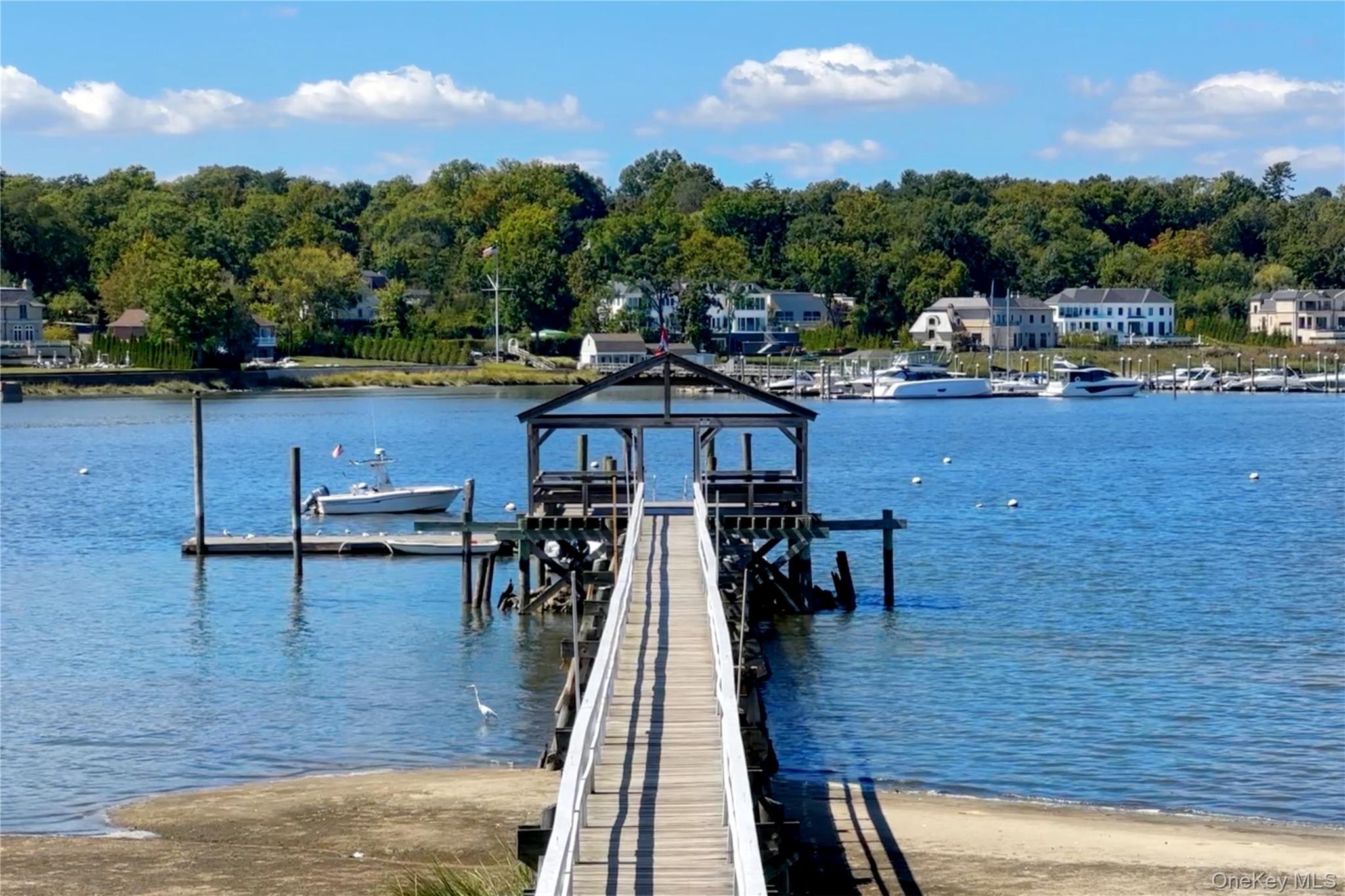 Single Family West Drive  Nassau County, NY 11030, MLS-986838-47