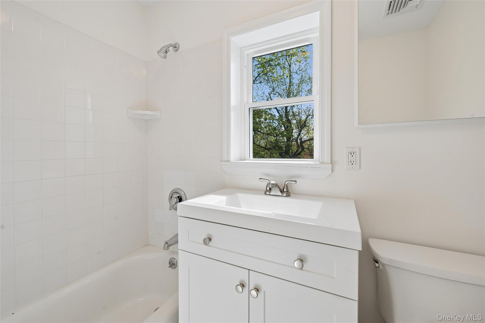 Single Family Juniper  Suffolk County, NY 11787, MLS-986843-22