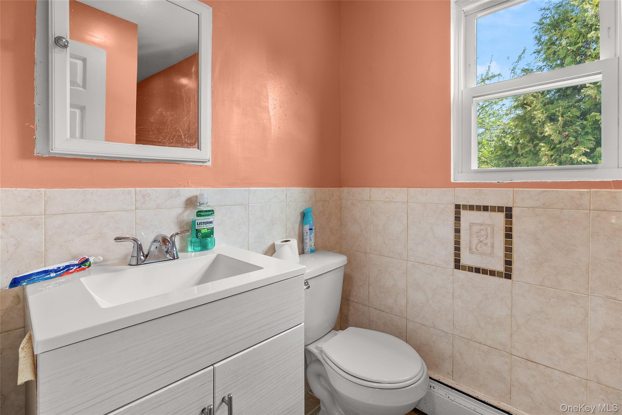 Single Family 28th  Suffolk County, NY 11798, MLS-986868-12