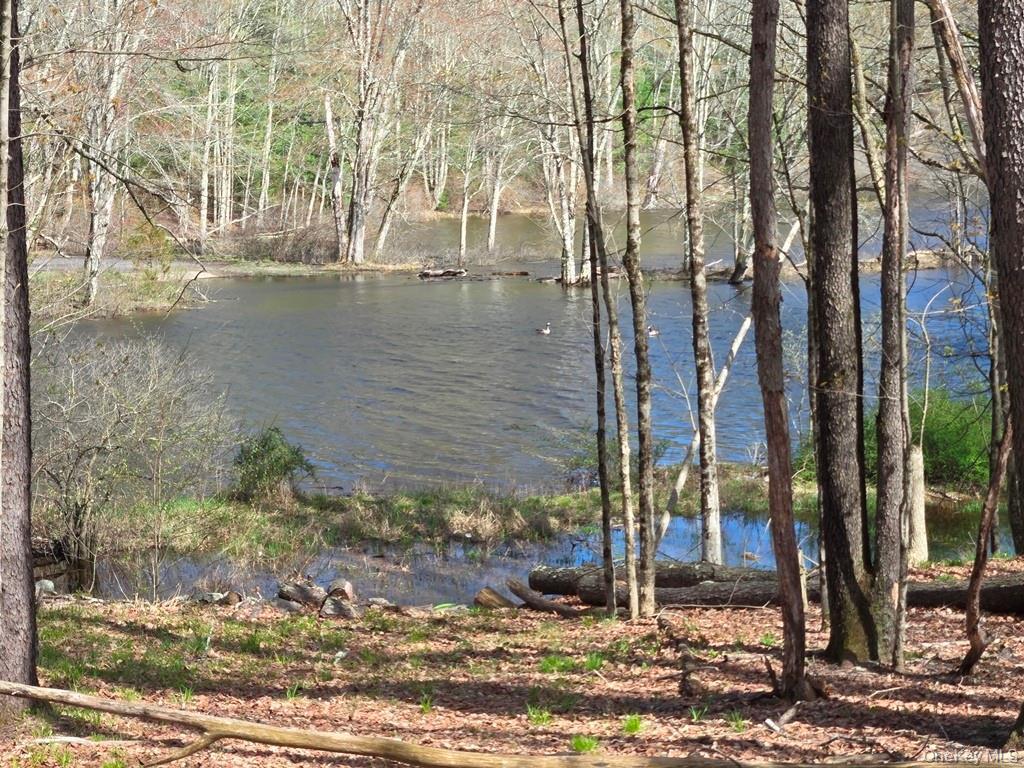 Single Family Plank Road  Sullivan County, NY 12762, MLS-986884-13
