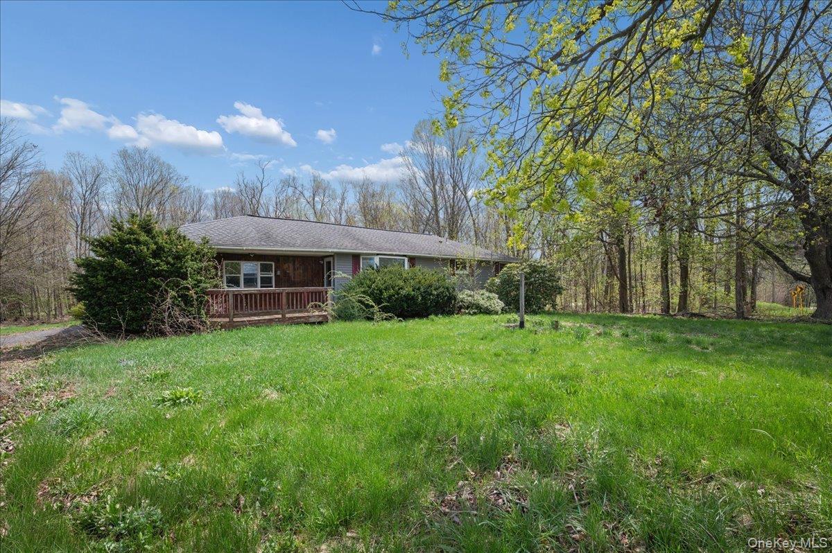 Single Family Route 217 Columbia County, NY 12534, MLS-986915-2
