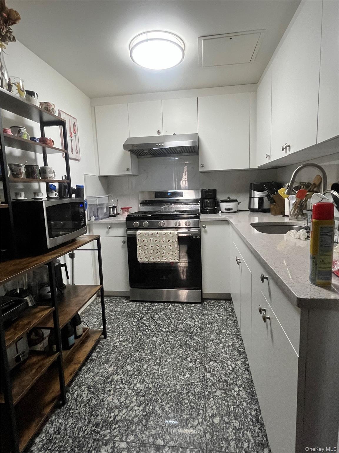 Single Family Elmhurst Avenue Queens, NY 11373, MLS-986947-3