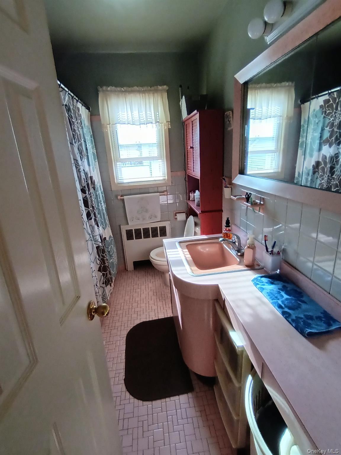 Single Family Tribune  Nassau County, NY 11003, MLS-987063-11