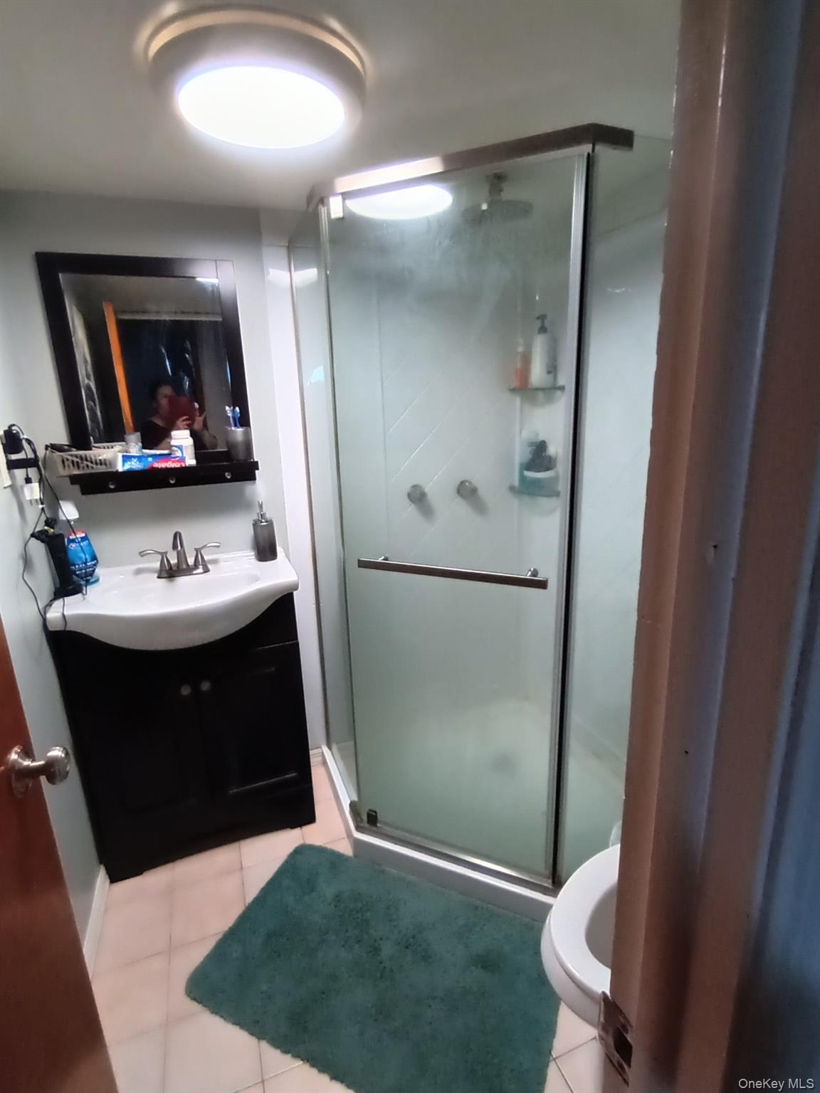 Single Family Tribune  Nassau County, NY 11003, MLS-987063-12