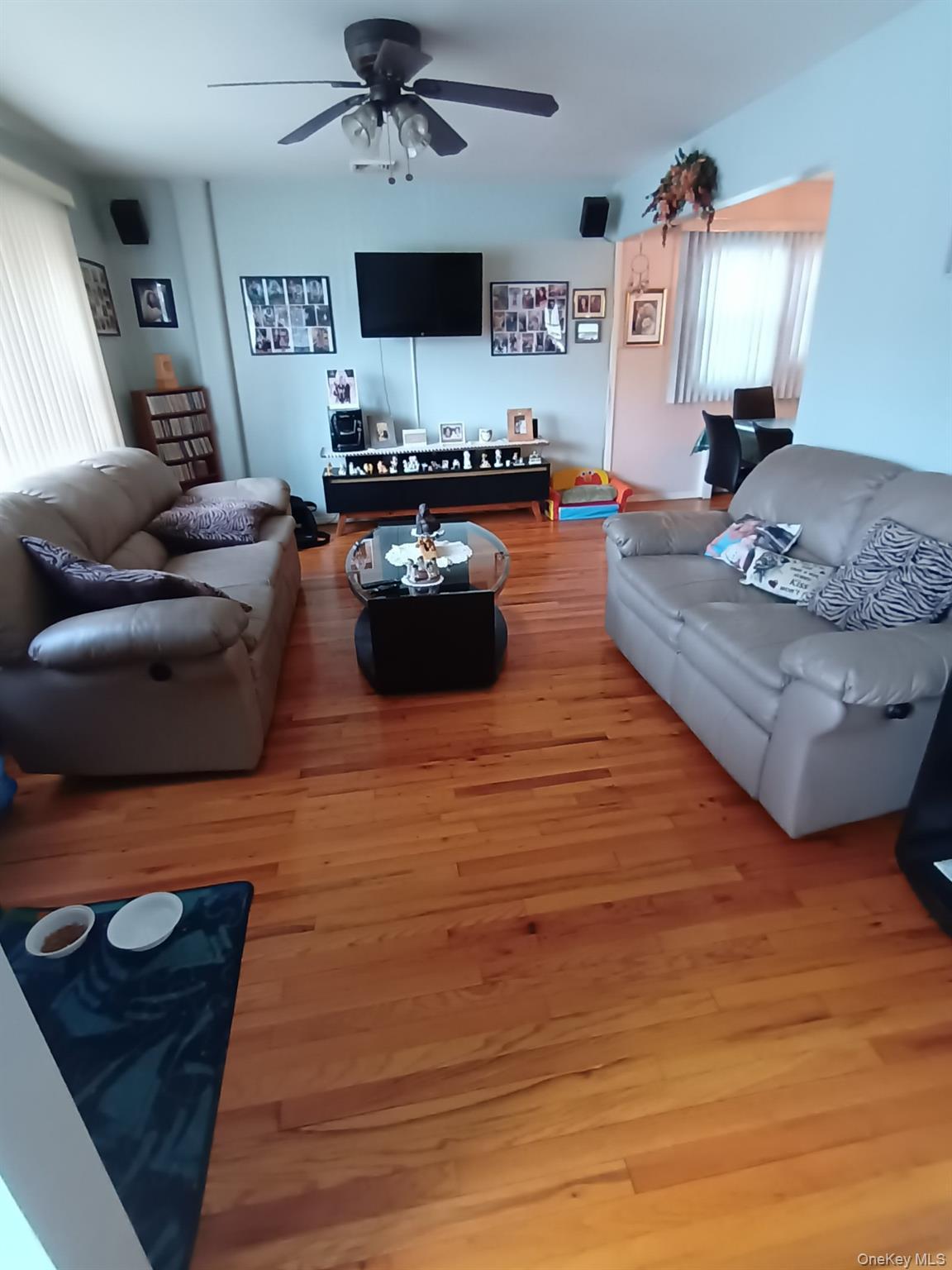 Single Family Tribune  Nassau County, NY 11003, MLS-987063-3