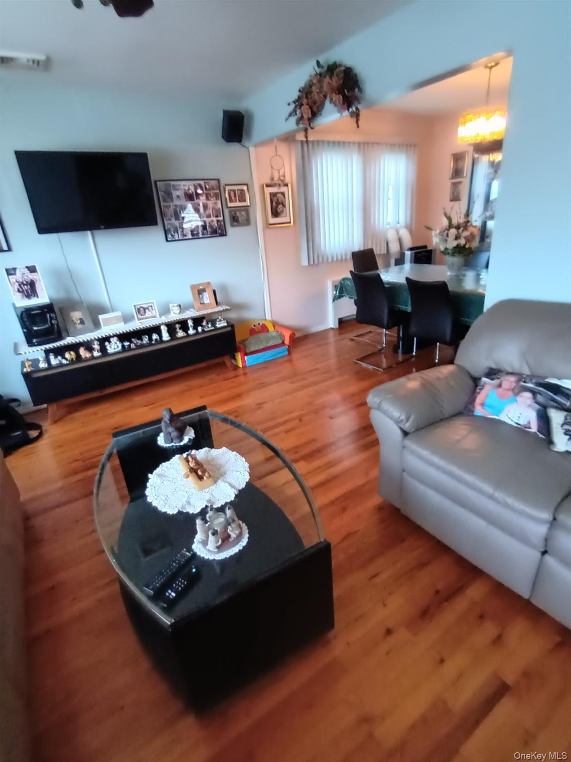 Single Family Tribune  Nassau County, NY 11003, MLS-987063-4