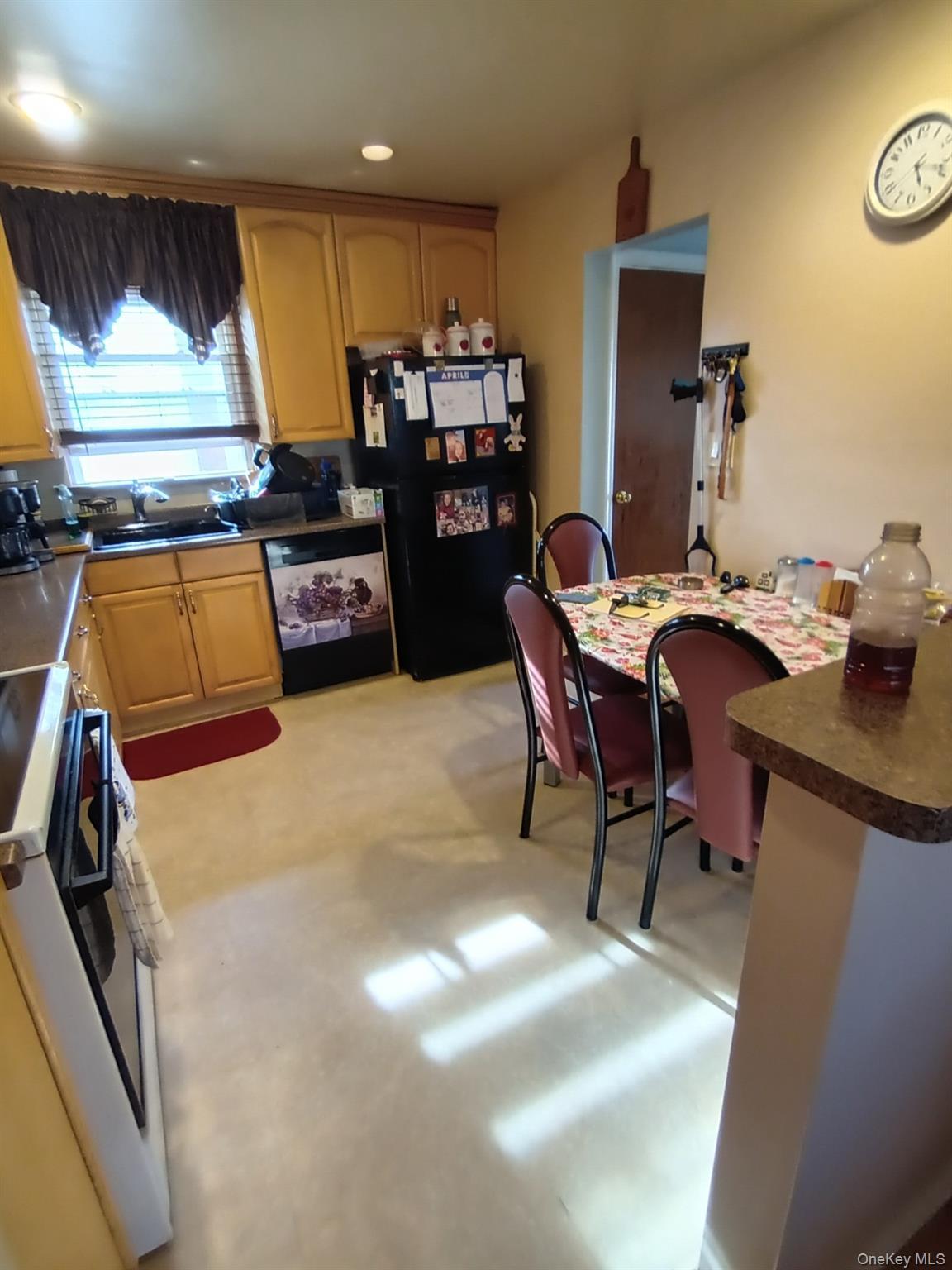 Single Family Tribune  Nassau County, NY 11003, MLS-987063-6
