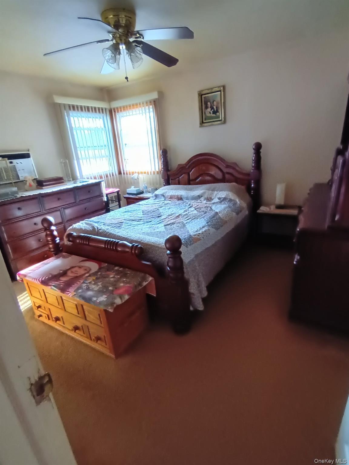 Single Family Tribune  Nassau County, NY 11003, MLS-987063-7