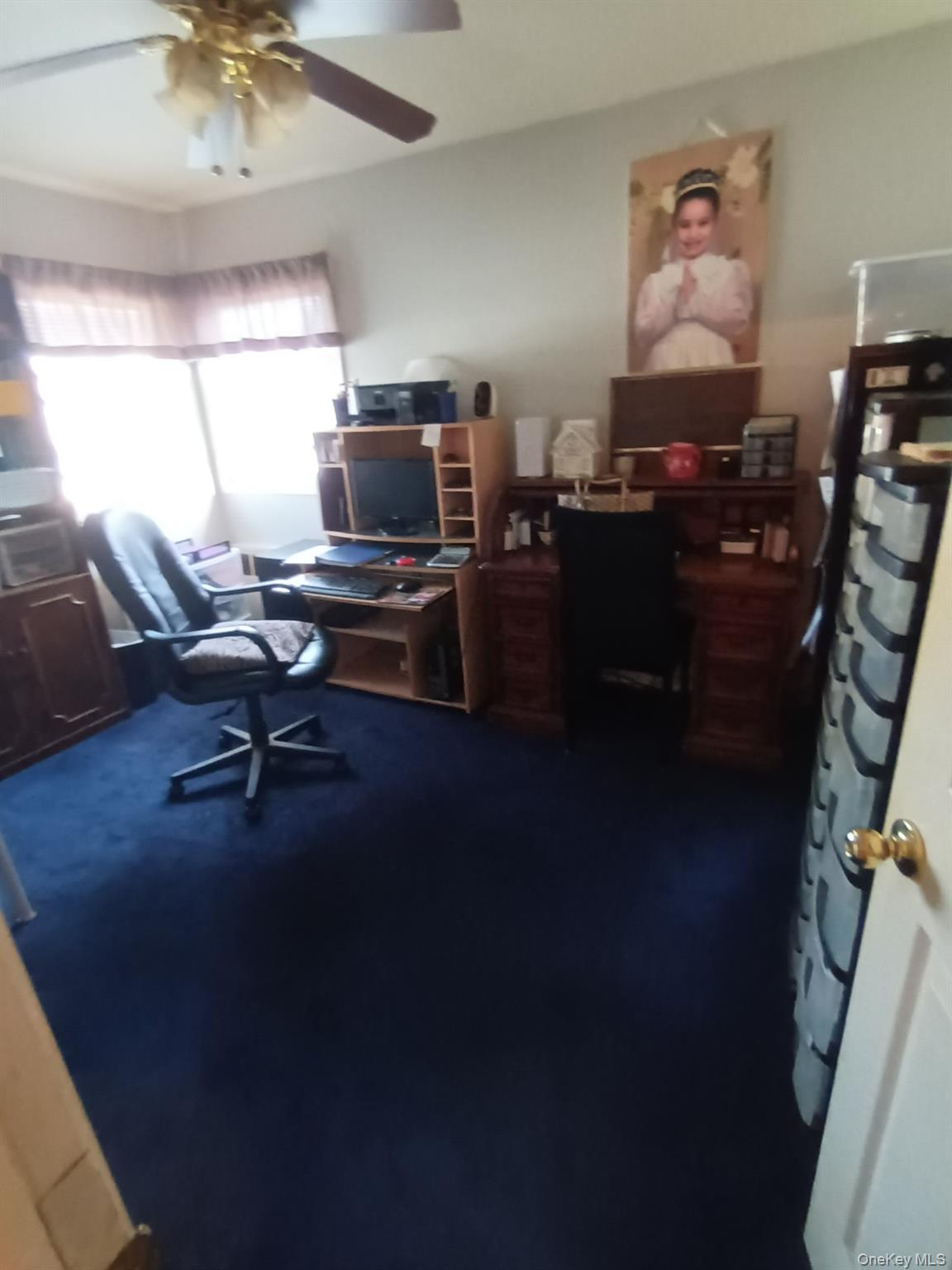Single Family Tribune  Nassau County, NY 11003, MLS-987063-8