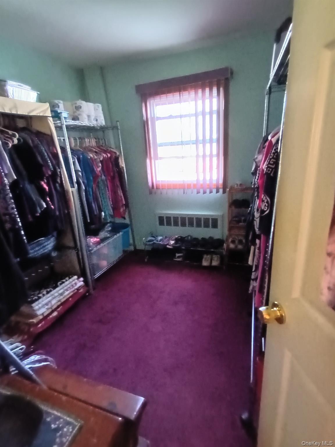 Single Family Tribune  Nassau County, NY 11003, MLS-987063-9
