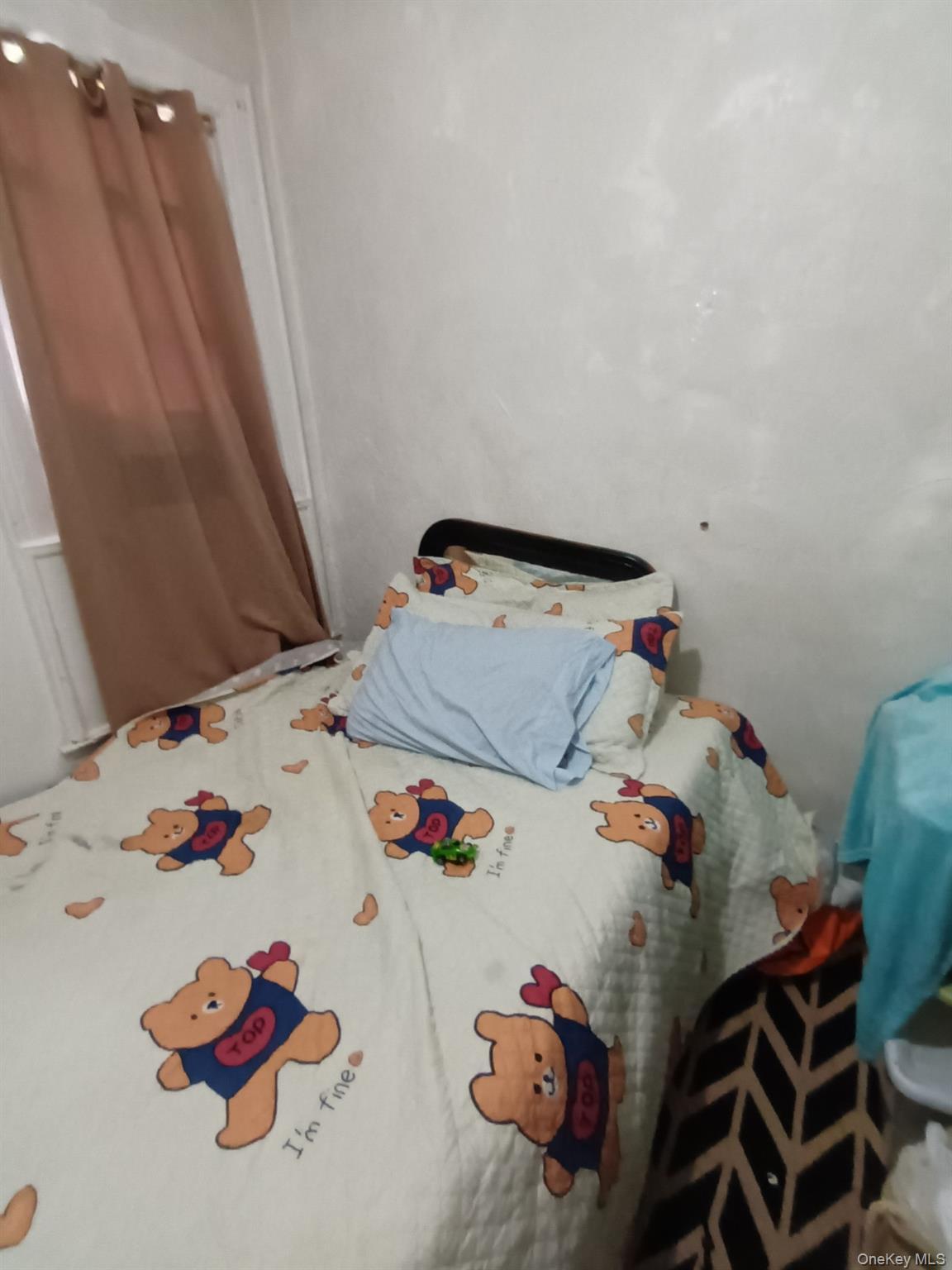 Single Family Crescent Street Brooklyn, NY 11208, MLS-987077-10