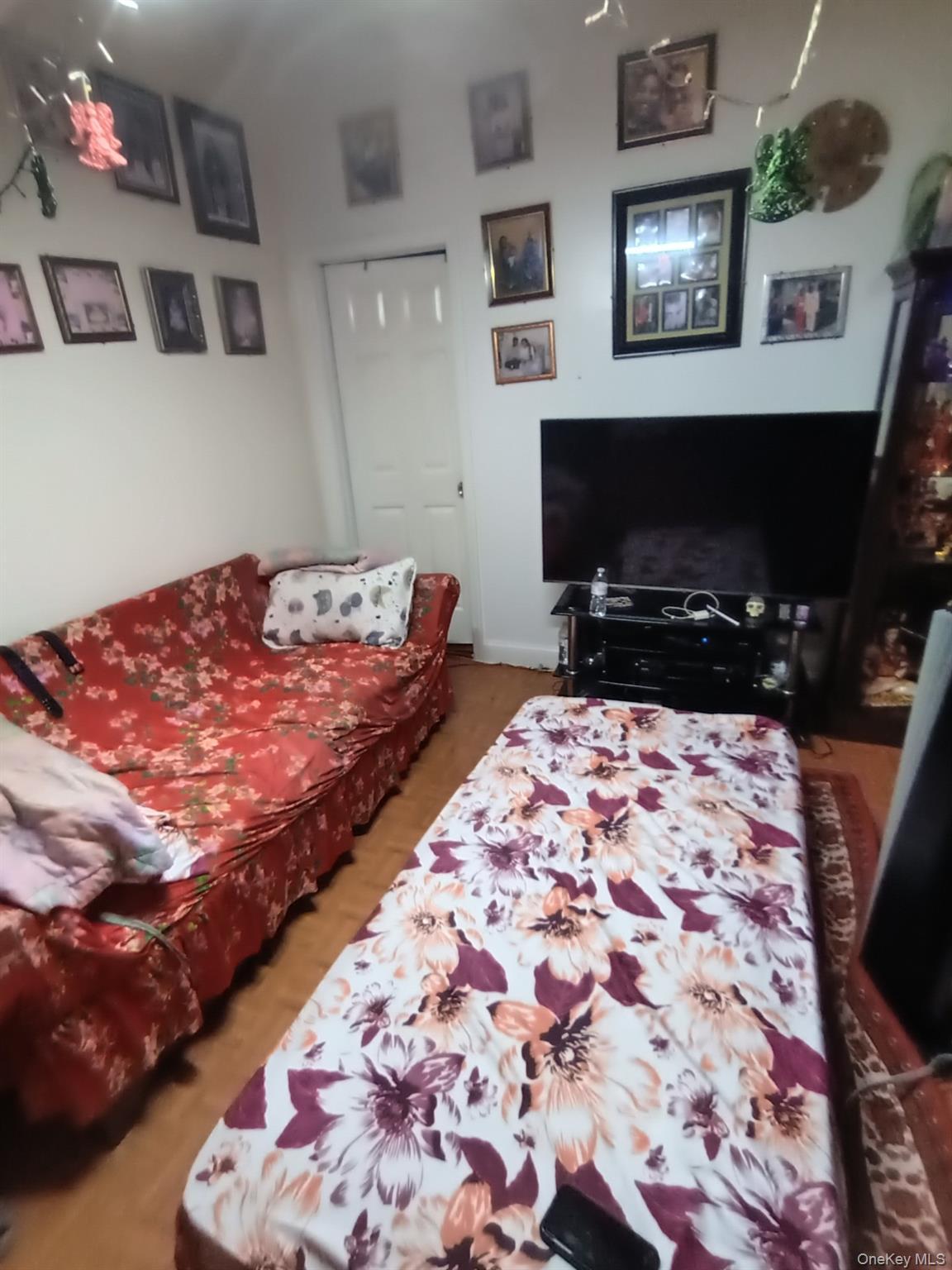 Single Family Crescent Street Brooklyn, NY 11208, MLS-987077-5