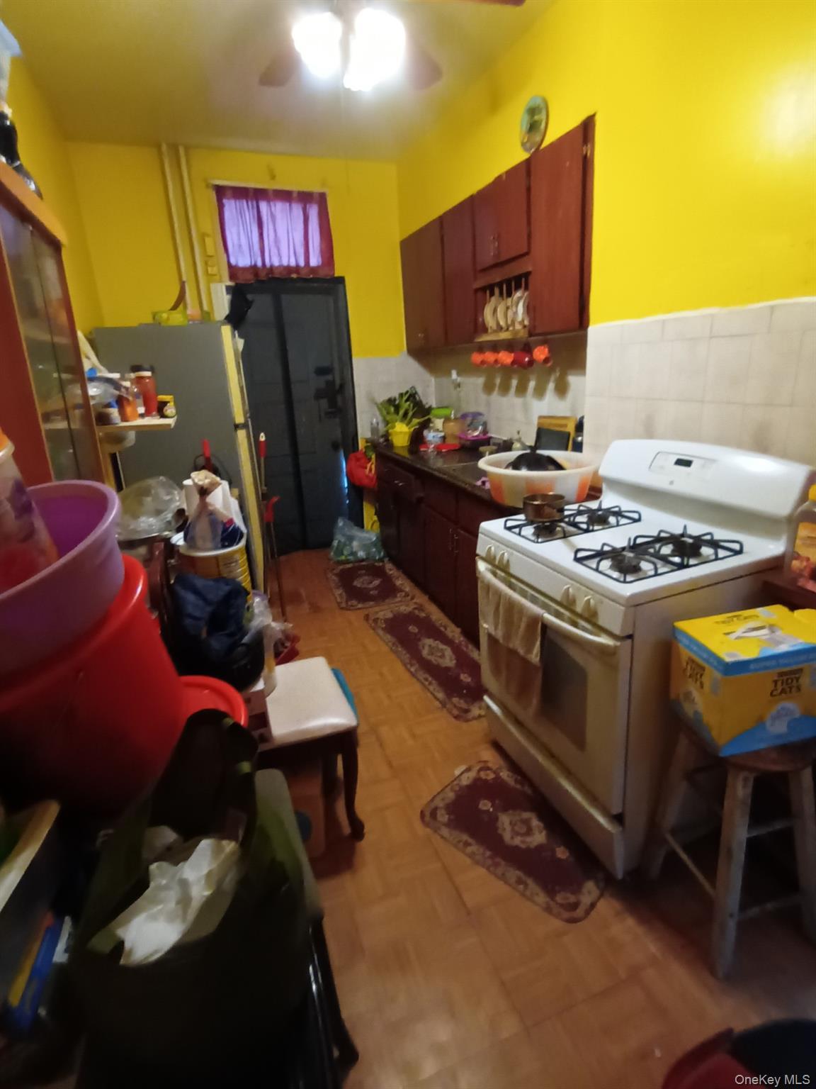 Single Family Crescent Street Brooklyn, NY 11208, MLS-987077-6