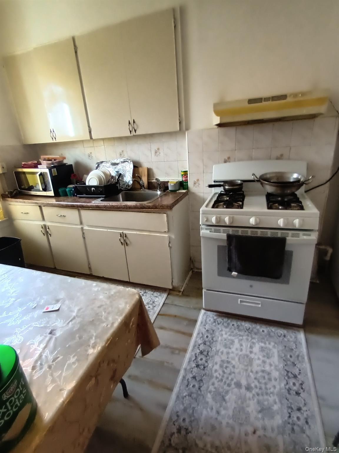 Single Family Crescent Street Brooklyn, NY 11208, MLS-987077-7