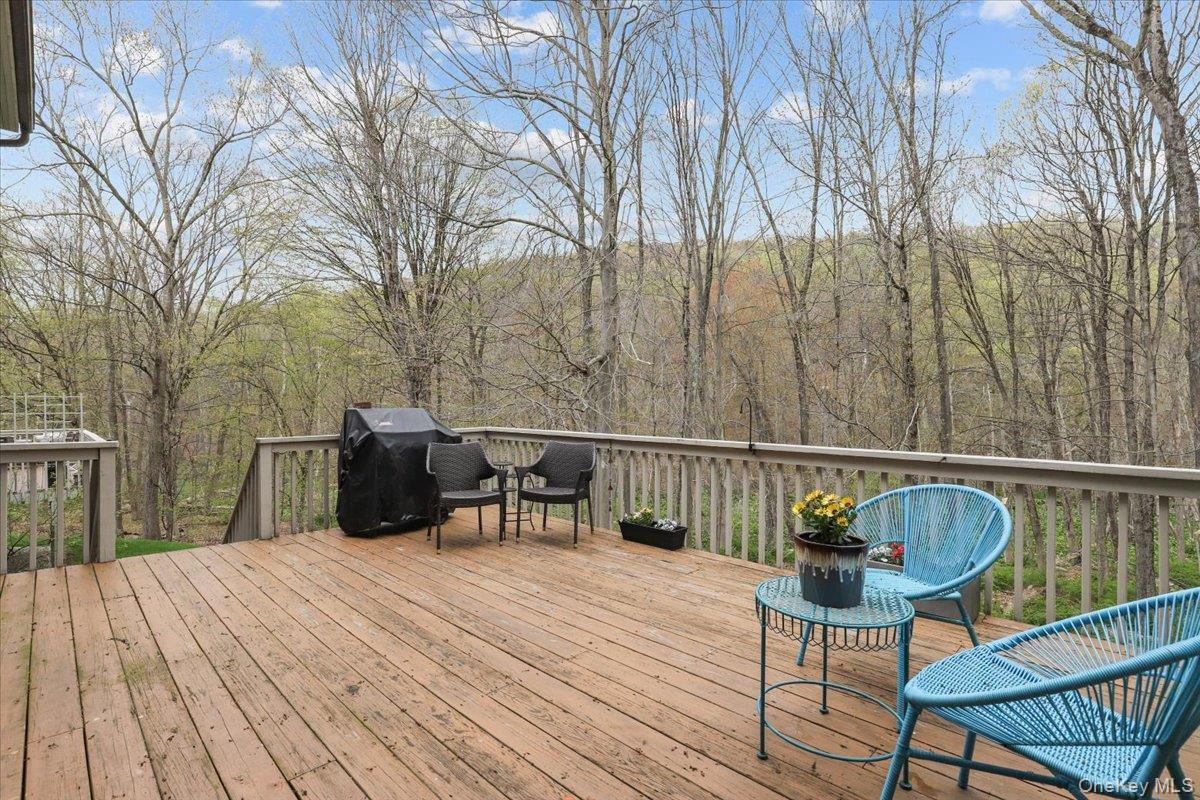 Single Family Driftwood  Westchester County, NY 10589, MLS-987127-29
