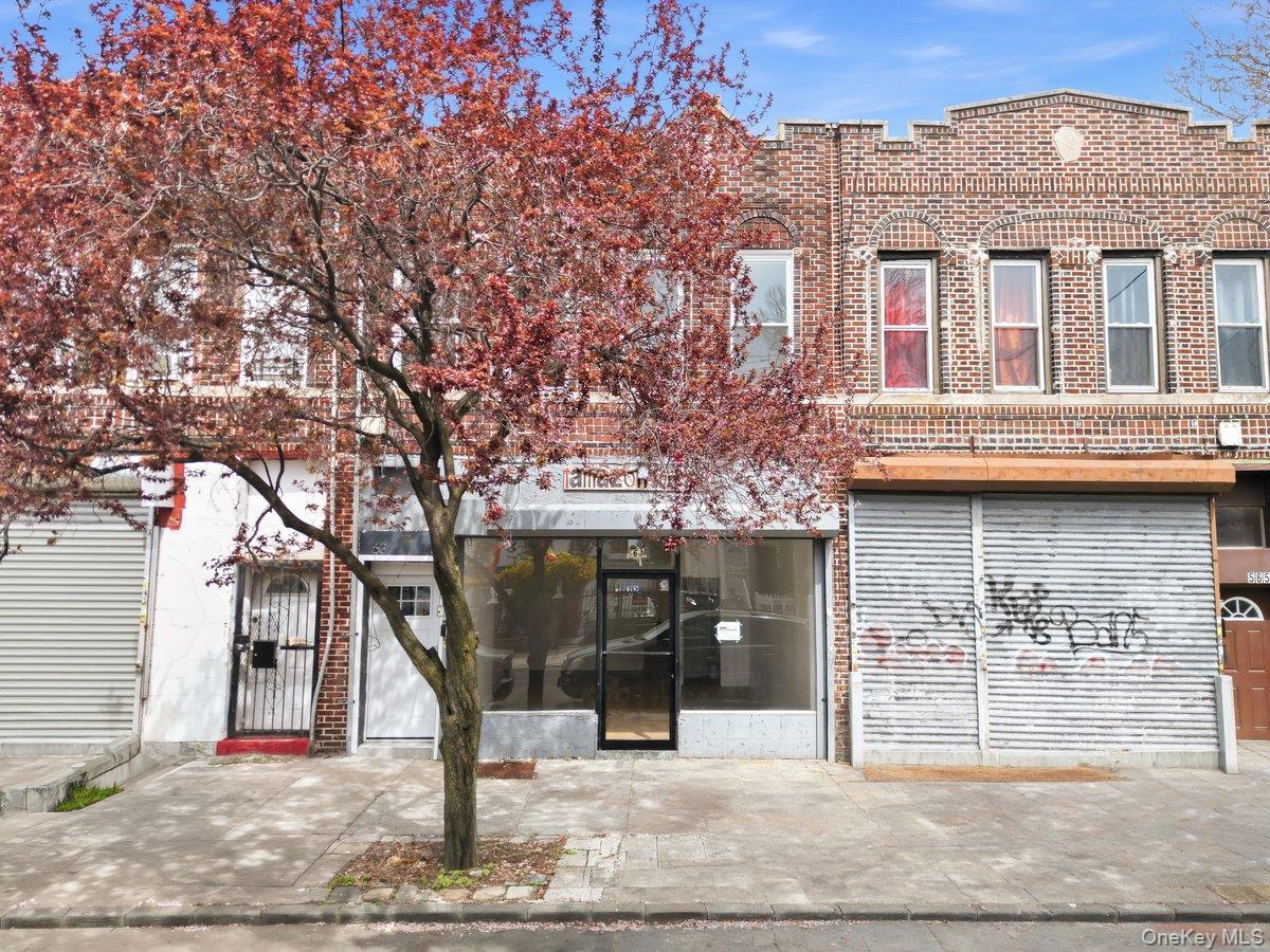 Single Family Glenmore  Brooklyn, NY 11207, MLS-987131-40