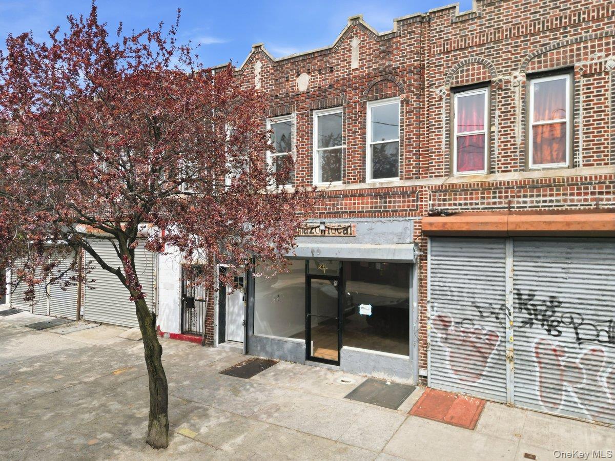 Single Family Glenmore  Brooklyn, NY 11207, MLS-987131-41