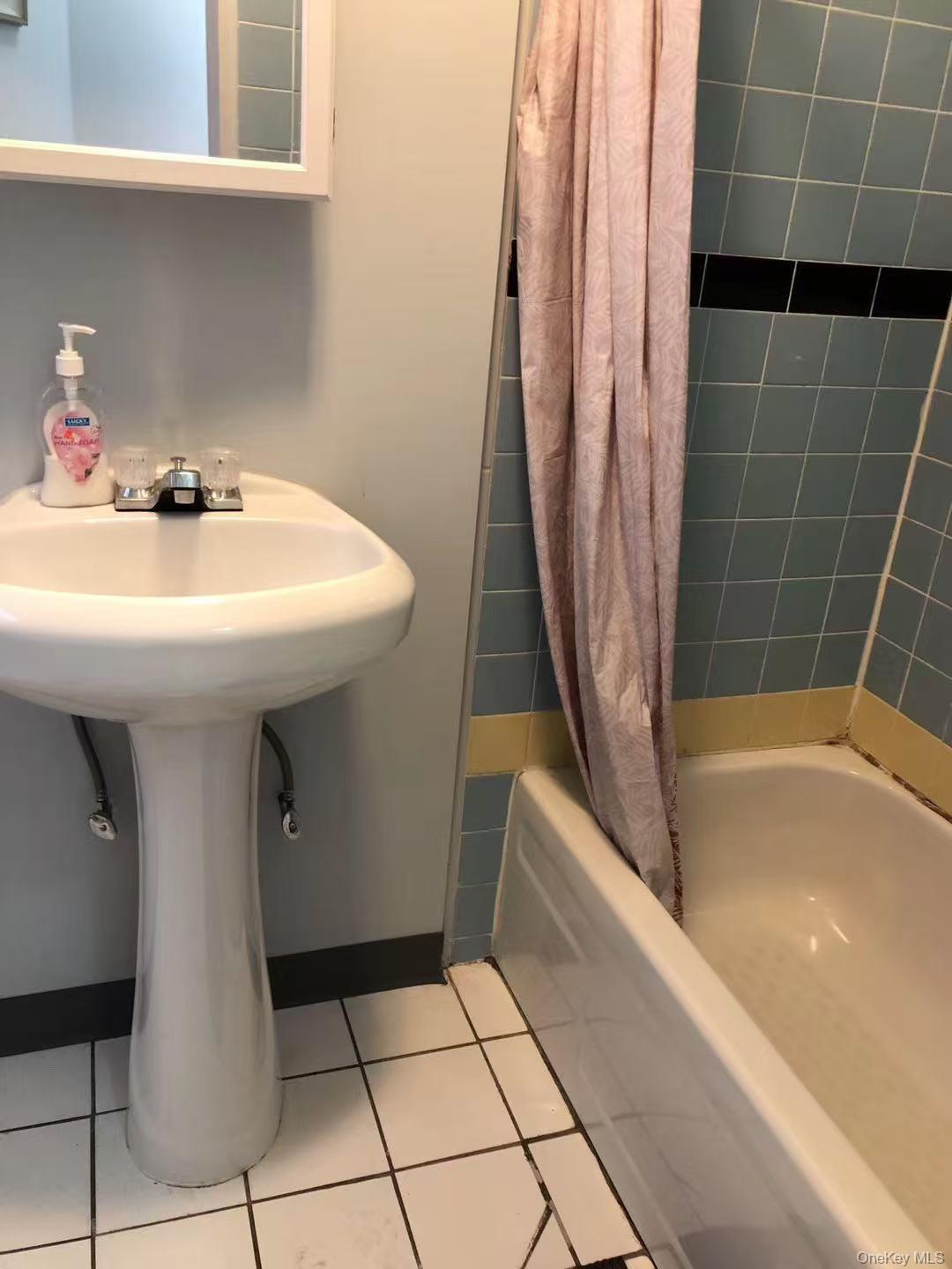 Single Family Janet Place Queens, NY 11354, MLS-987211-17