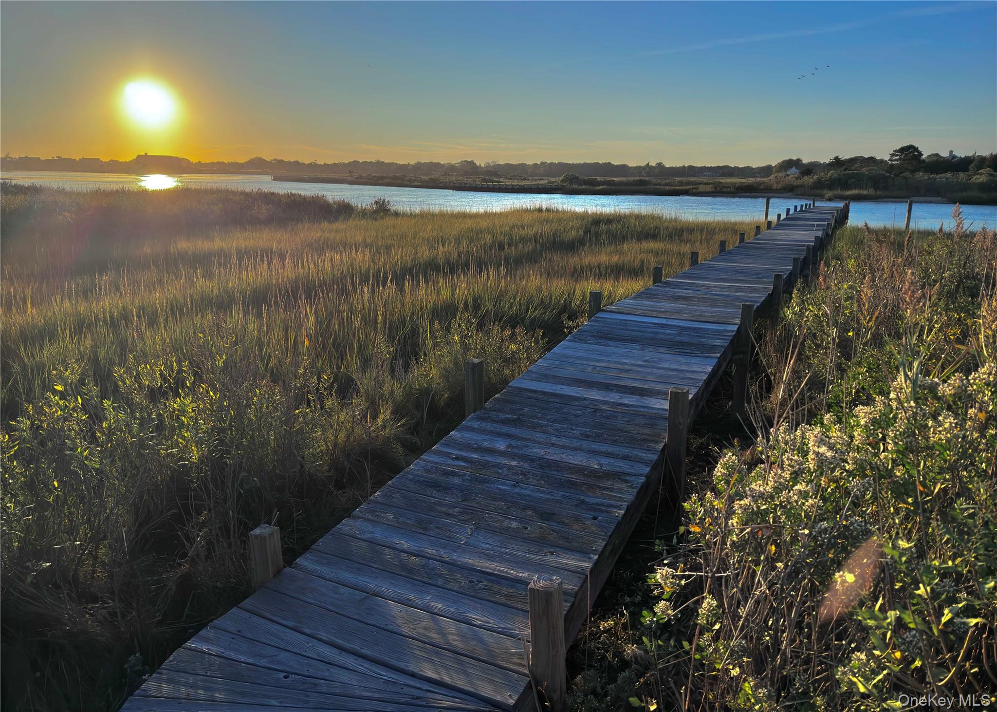 Single Family Dune Road  Suffolk County, NY 11959, MLS-987218-23