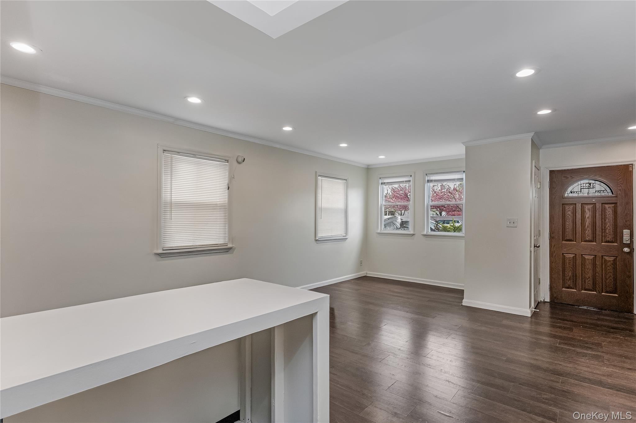 Single Family Farmers  Queens, NY 11434, MLS-987277-4